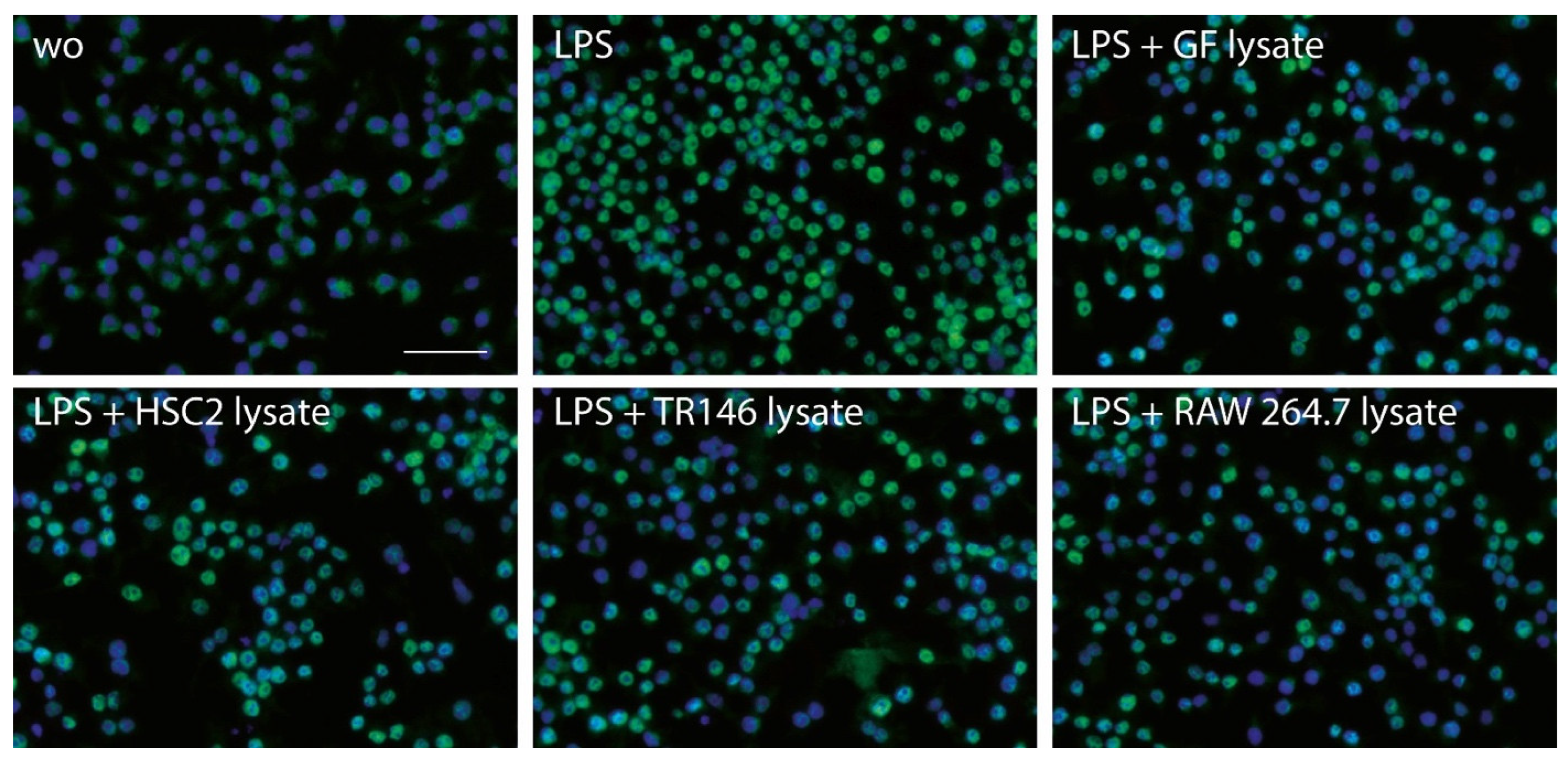 Jcm 12 01701 g005 Jcm 12 01701 g005