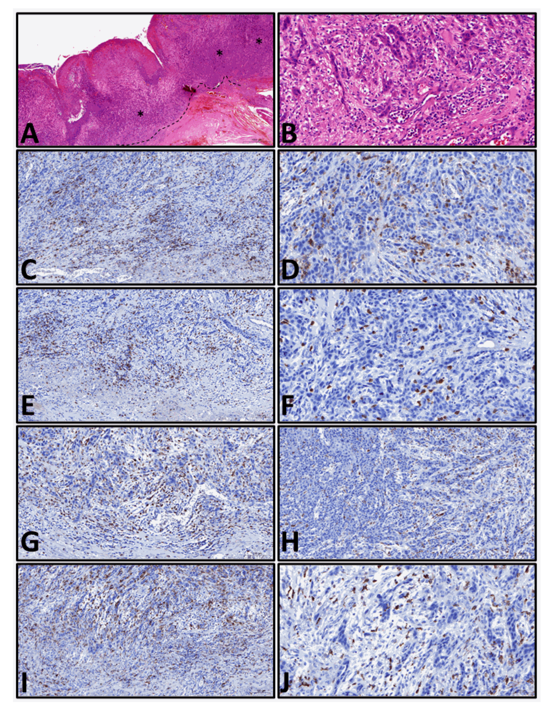 Jcm 12 01704 g001 Jcm 12 01704 g001