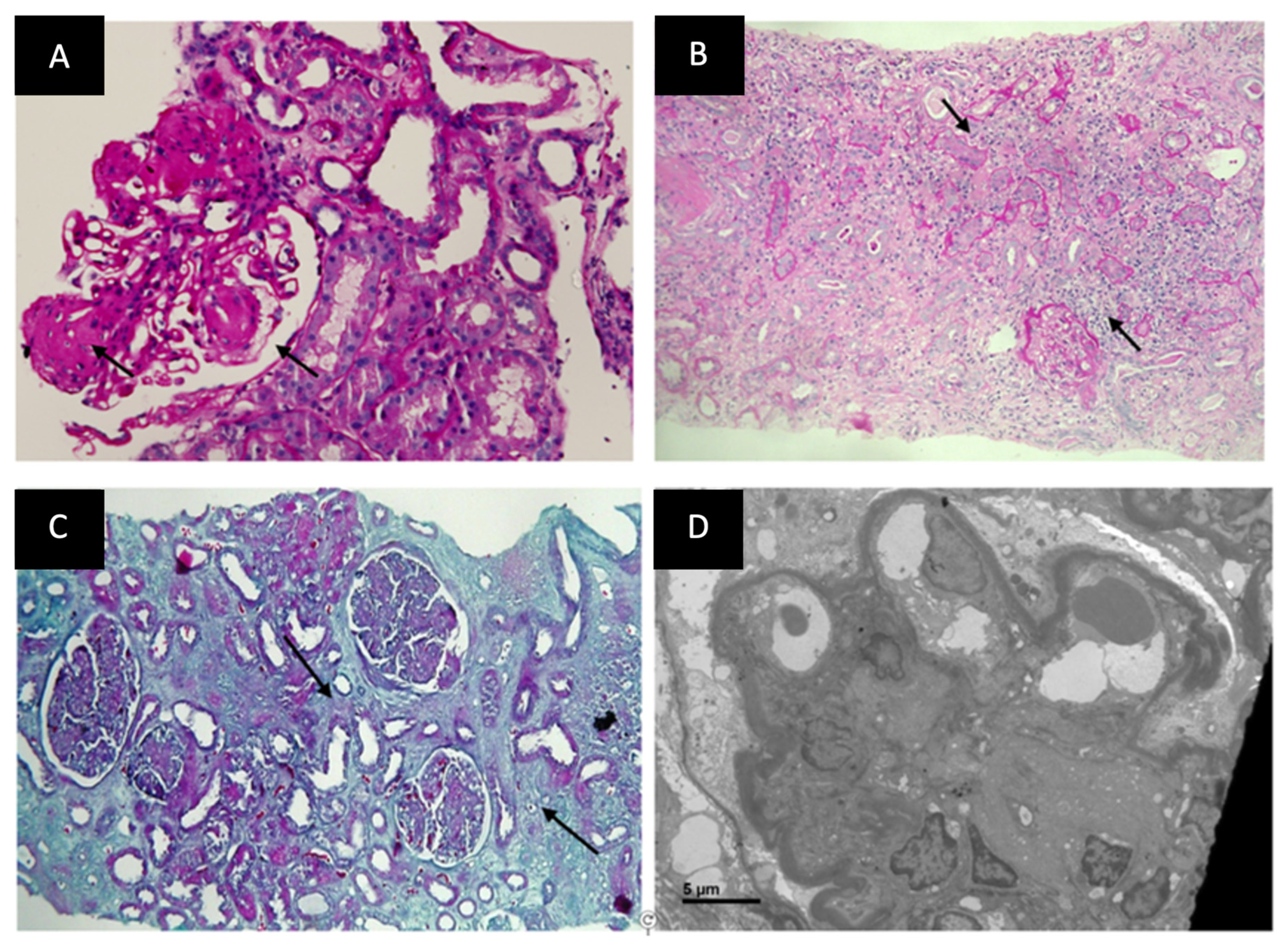 Jcm 12 01705 g004 Jcm 12 01705 g004
