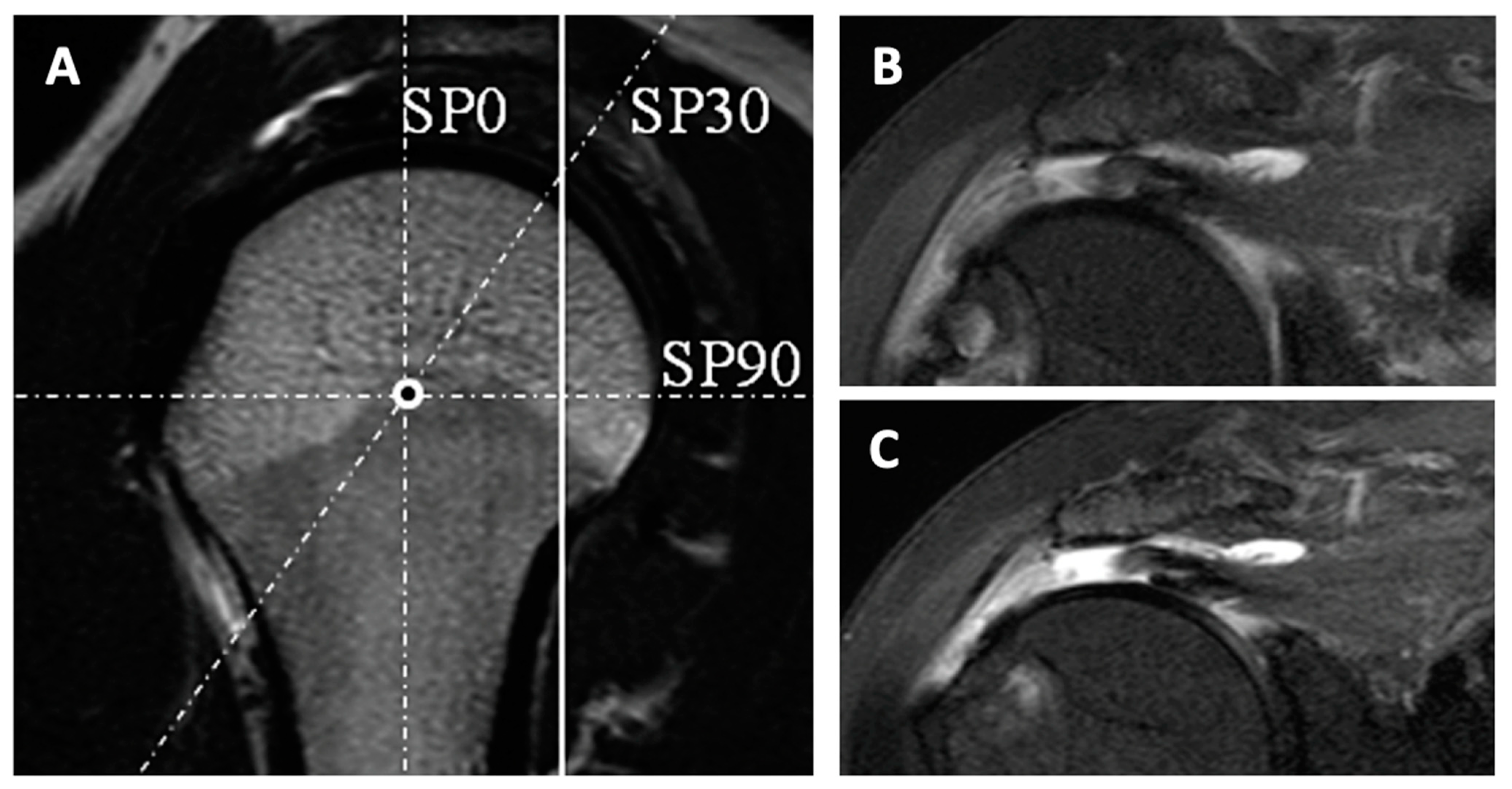 Jcm 12 01713 g001 Jcm 12 01713 g001