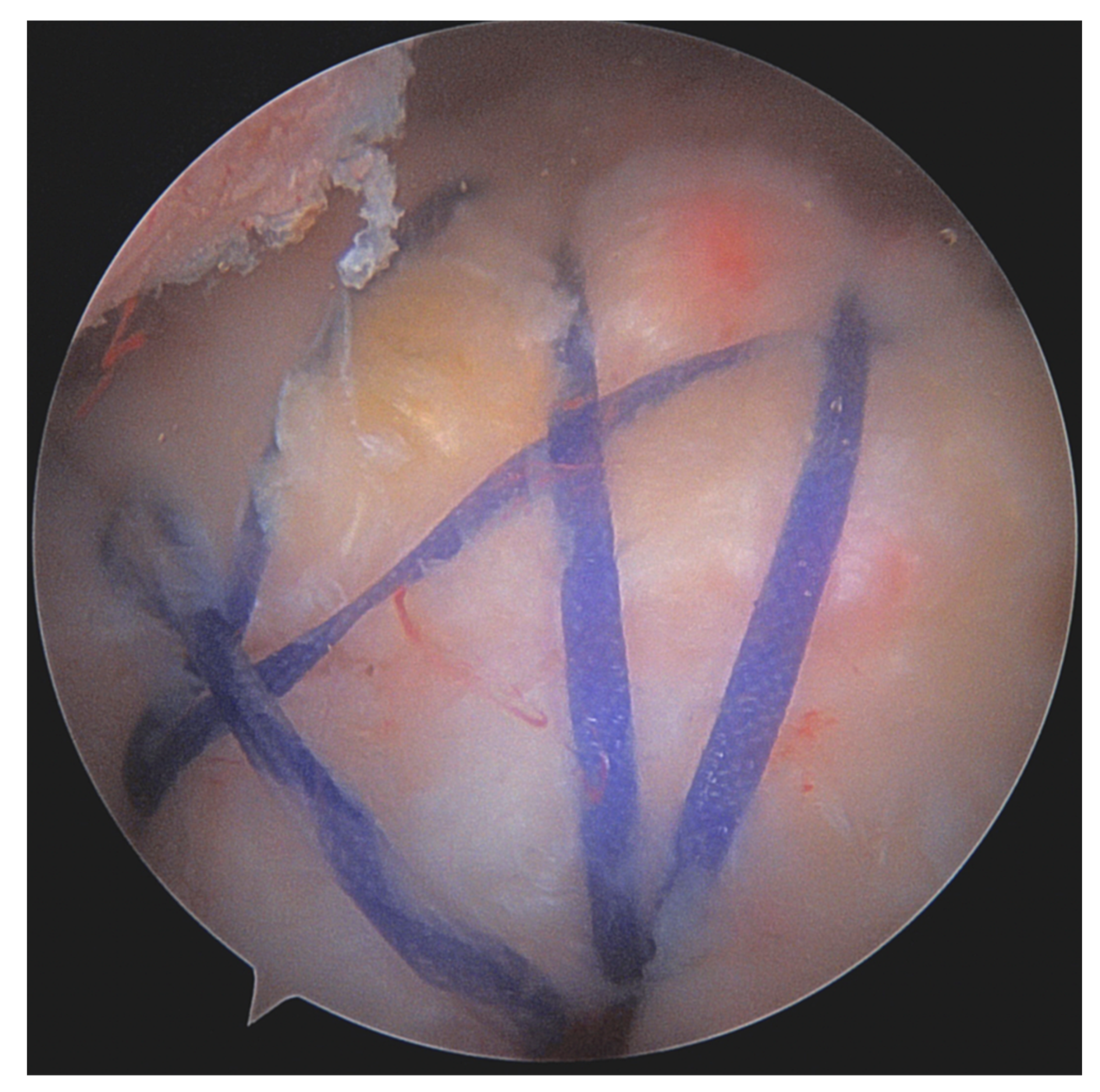 Jcm 12 01713 g008 Jcm 12 01713 g008