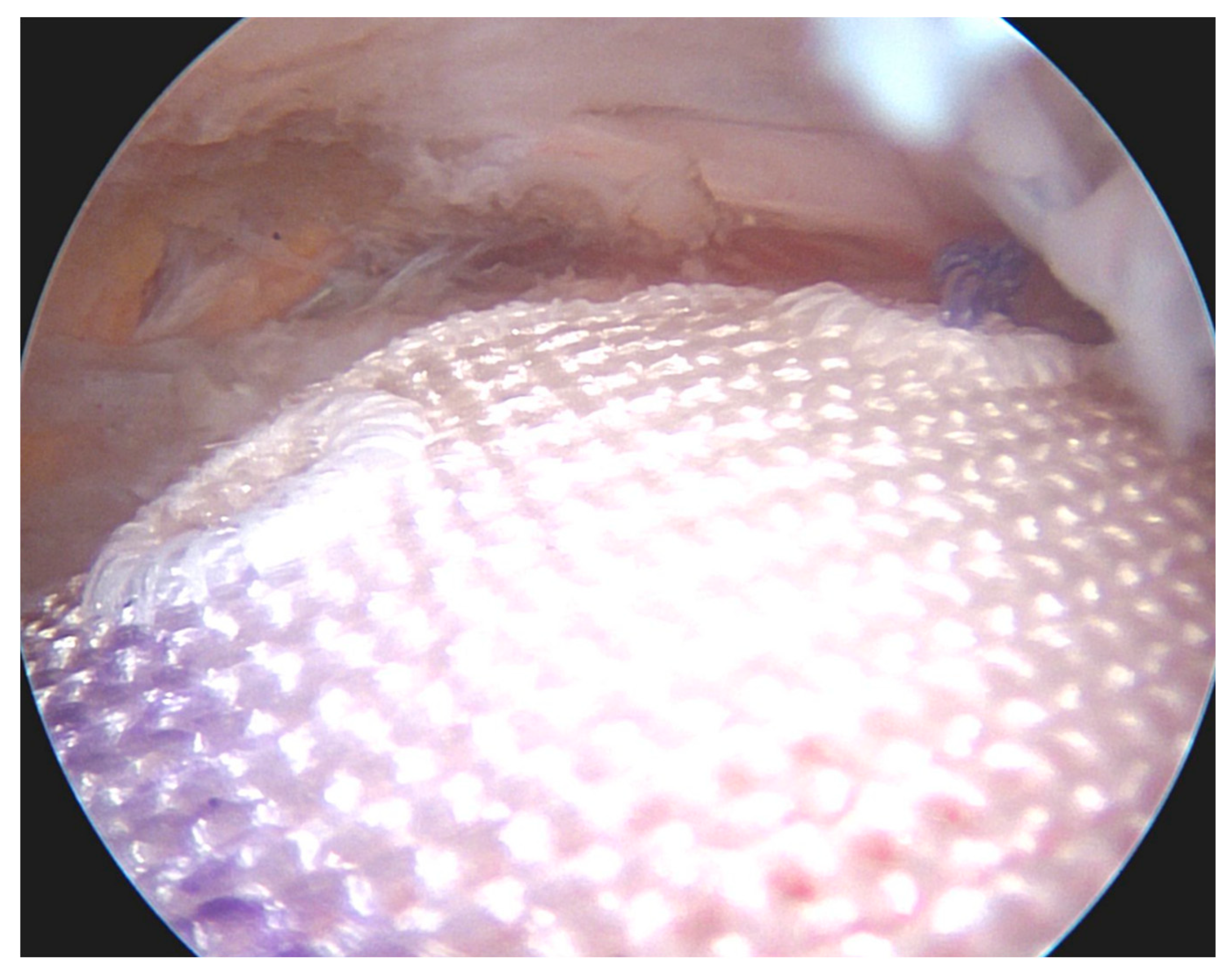 Jcm 12 01713 g009 Jcm 12 01713 g009