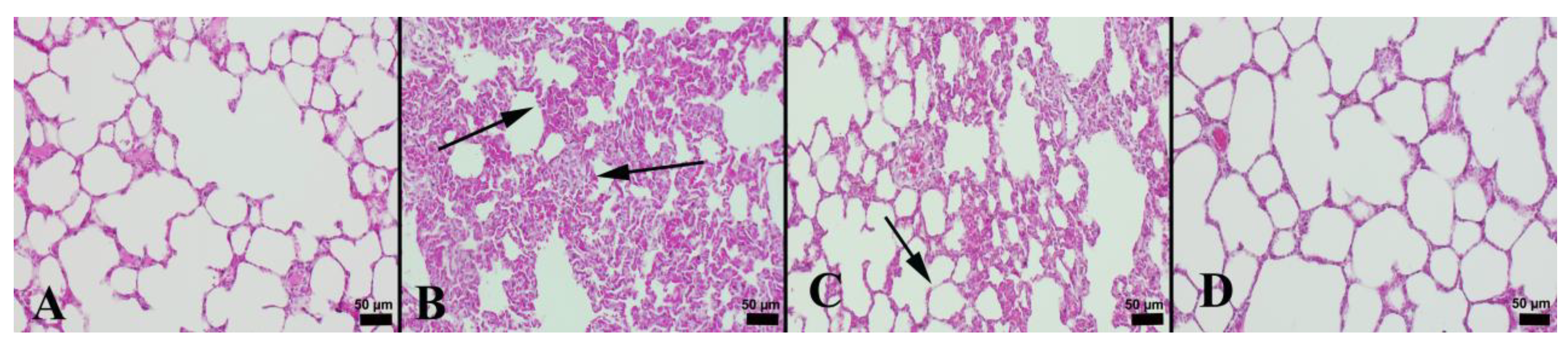Jcm 12 01721 g001 Jcm 12 01721 g001