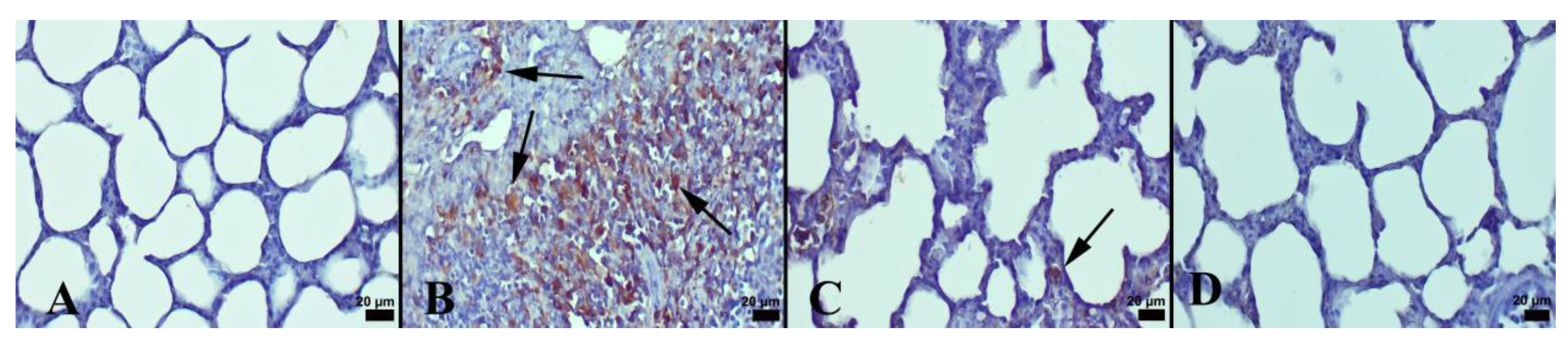 Jcm 12 01721 g002 Jcm 12 01721 g002