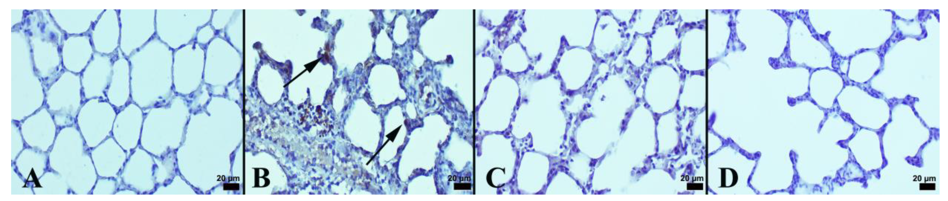 Jcm 12 01721 g003 Jcm 12 01721 g003