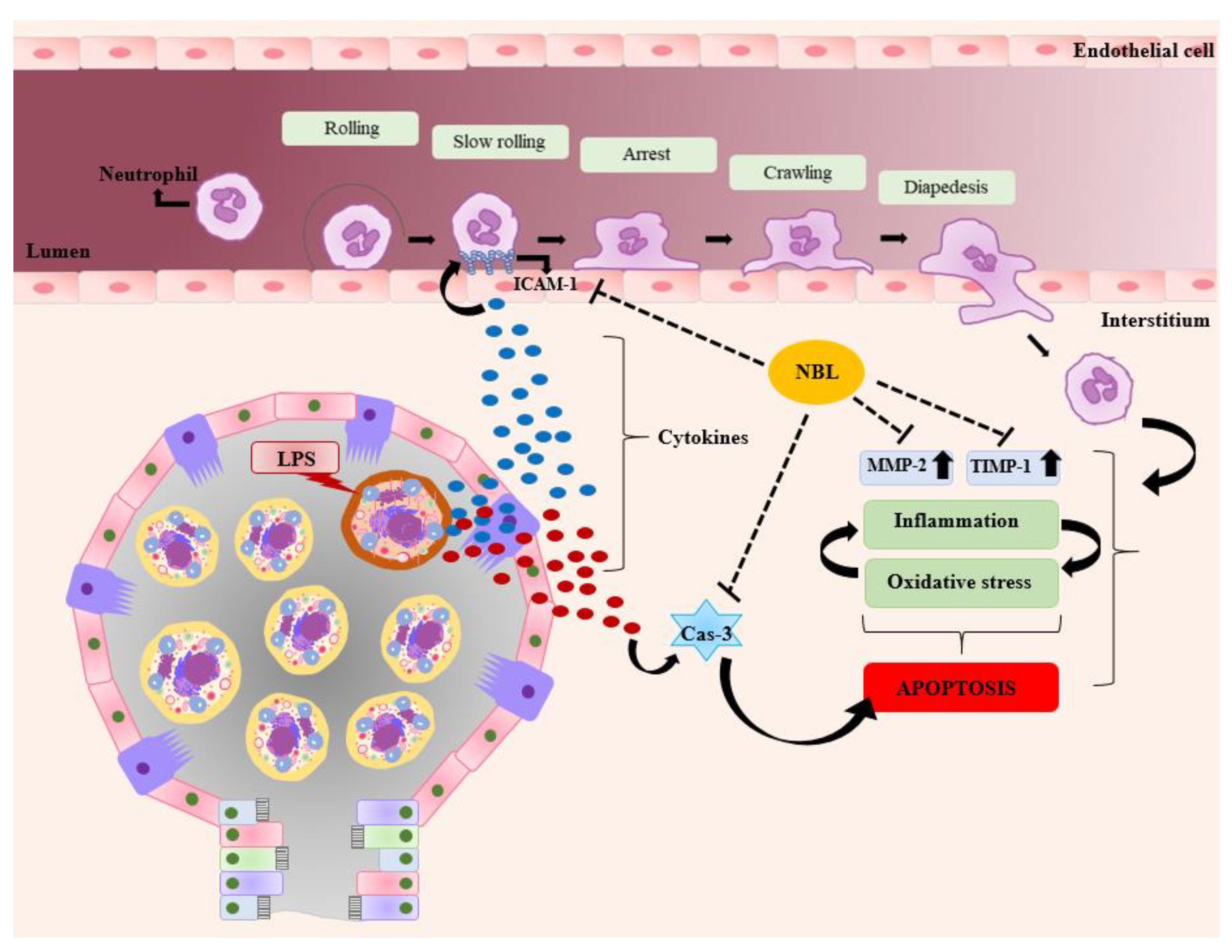 Jcm 12 01721 g006 Jcm 12 01721 g006
