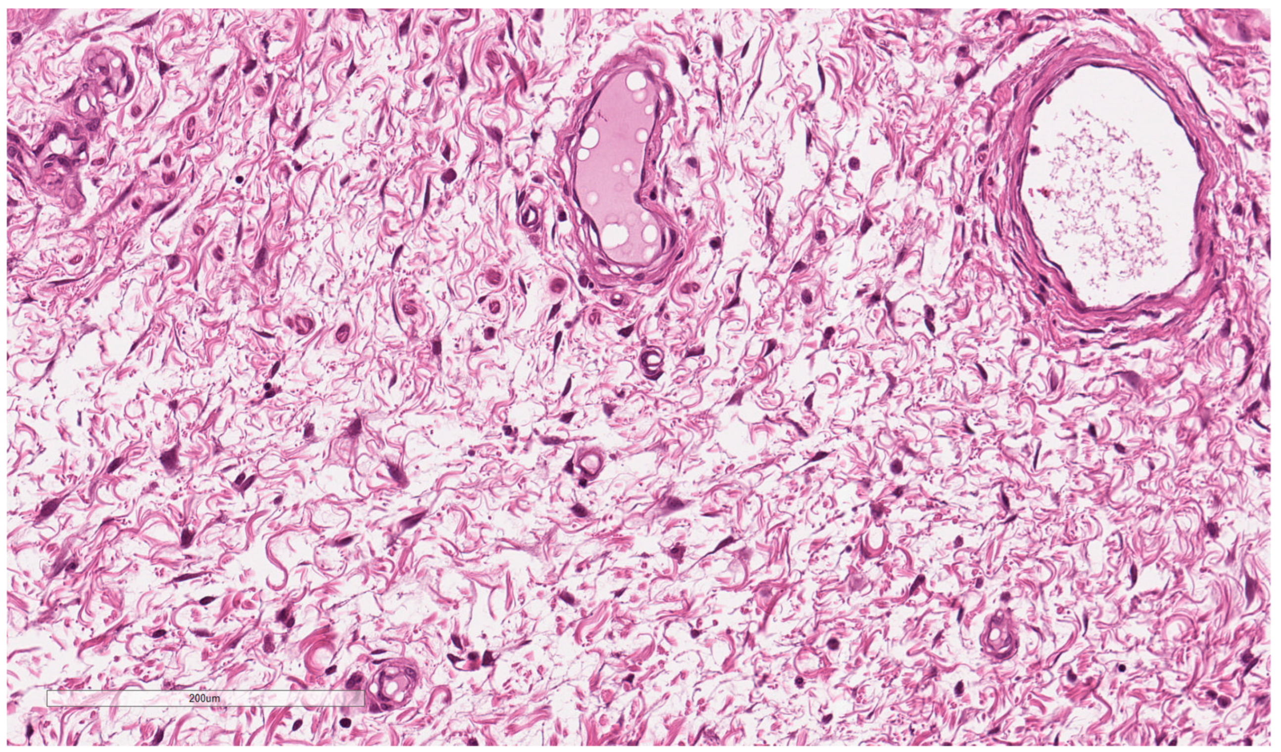 Jcm 12 01726 g003 Jcm 12 01726 g003