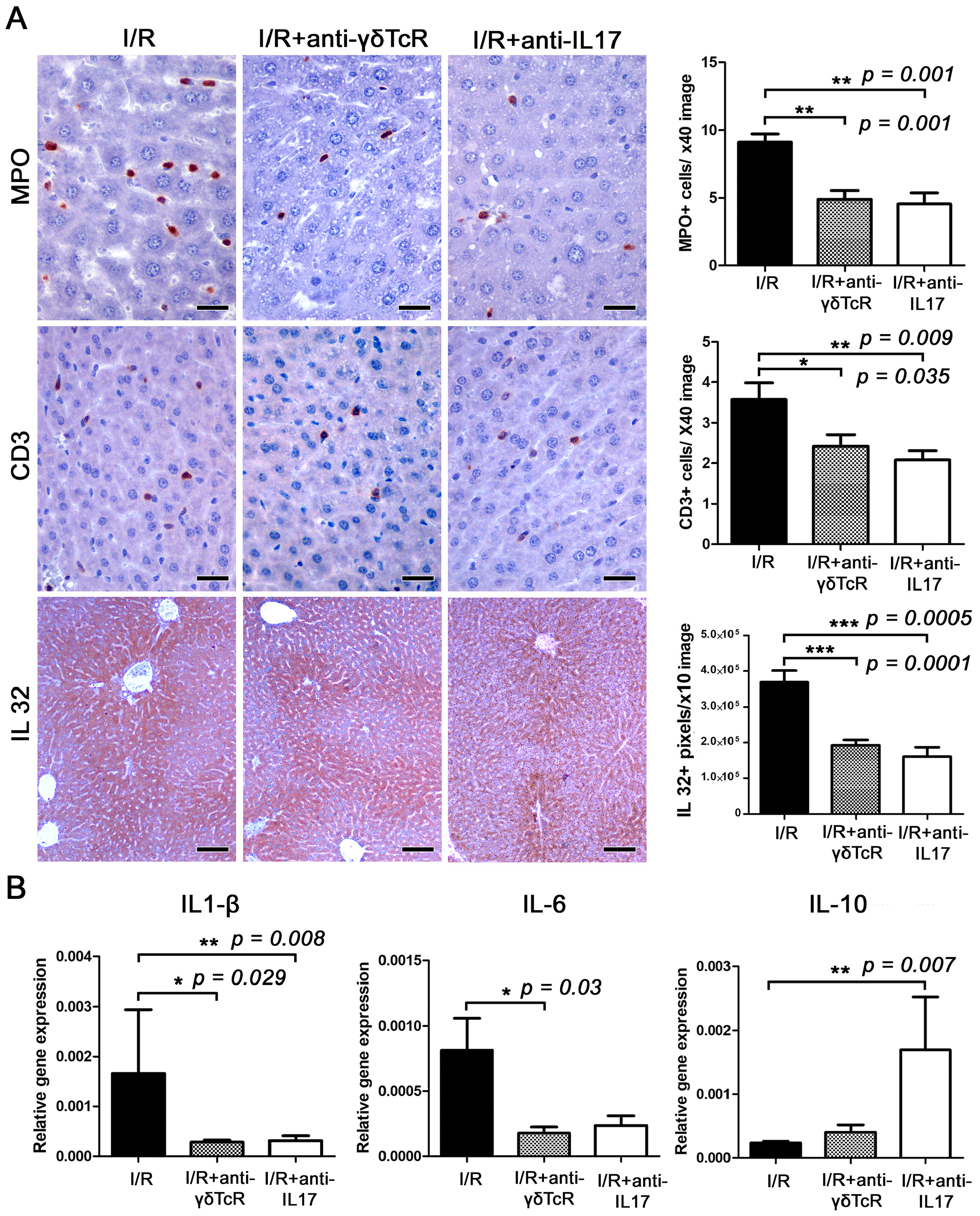Jcm 12 01751 g003 Jcm 12 01751 g003