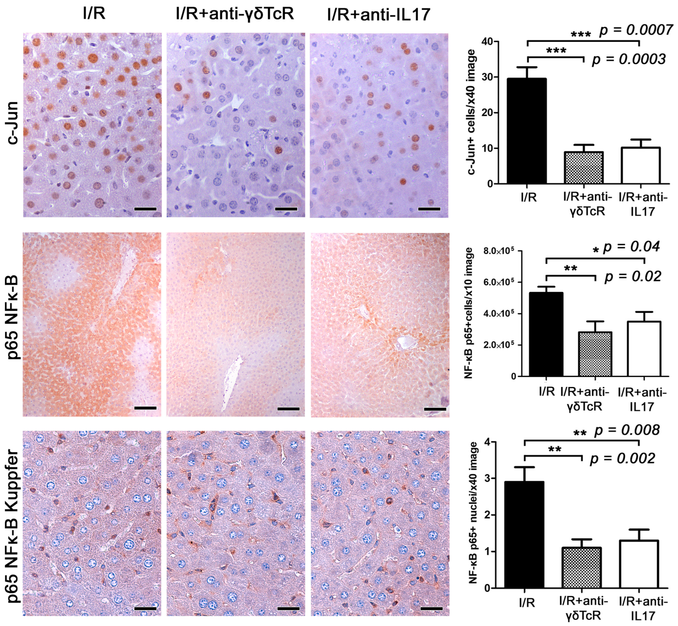 Jcm 12 01751 g004 Jcm 12 01751 g004