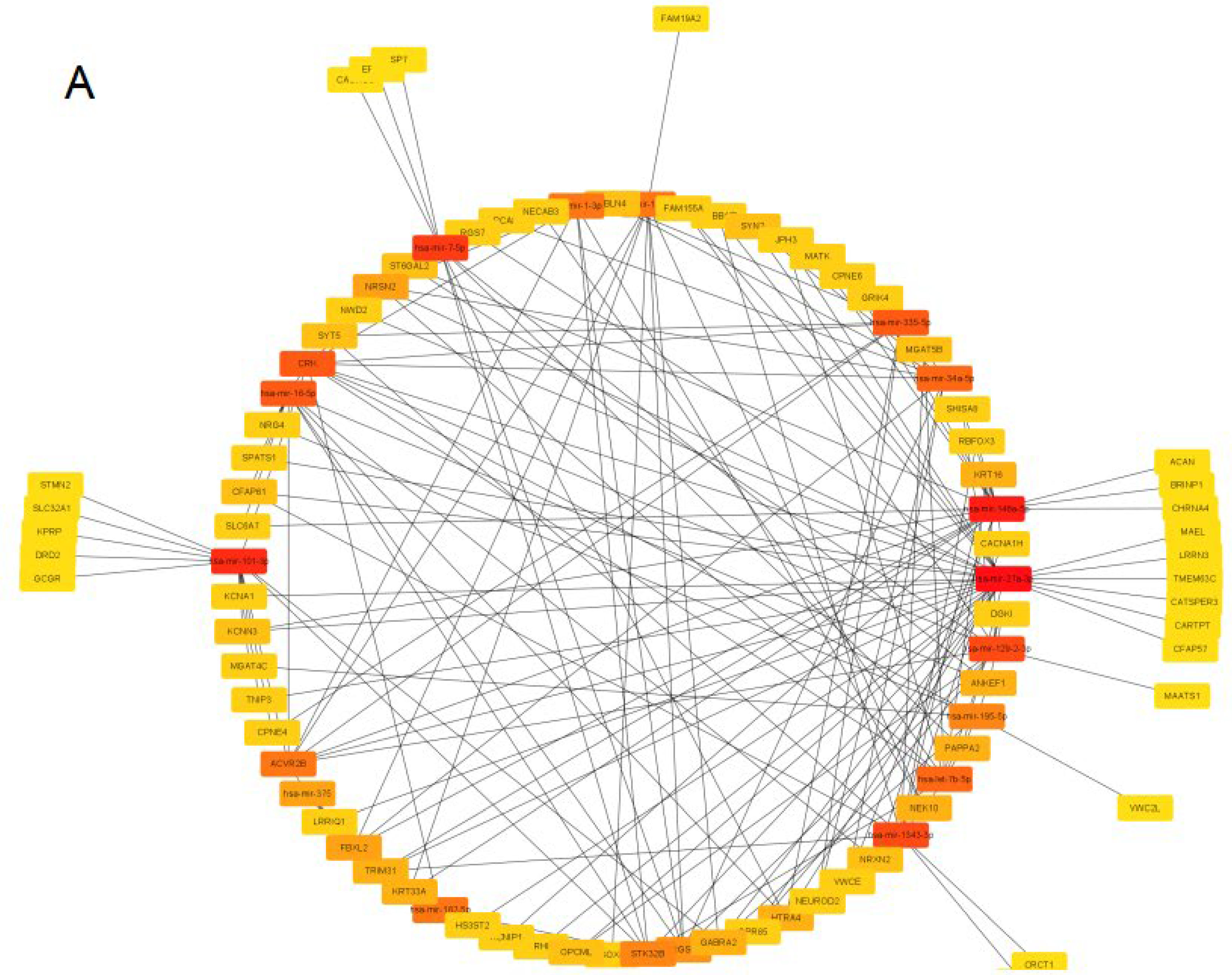 Jcm 12 01777 g005a Jcm 12 01777 g005a