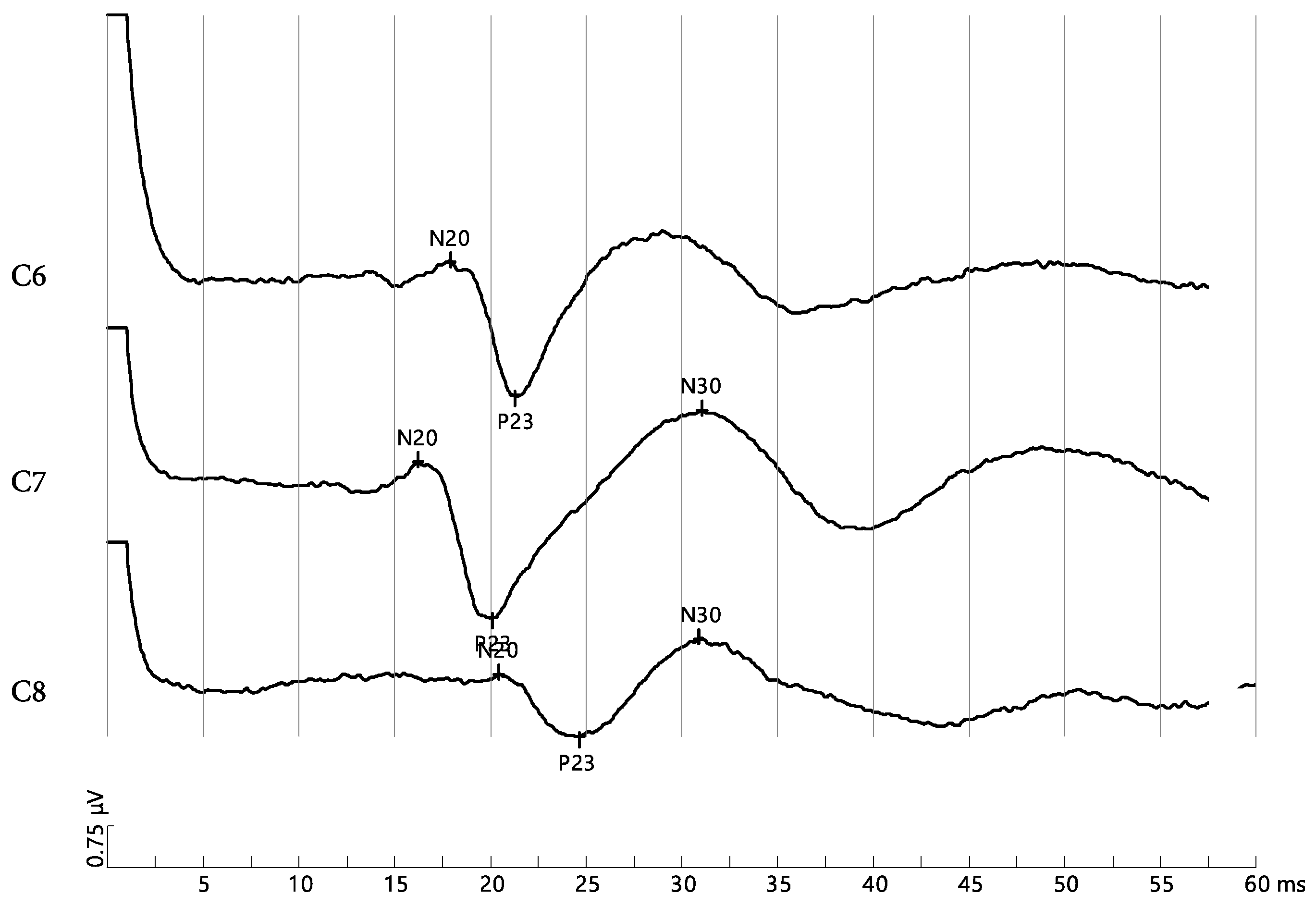 Jcm 12 01780 g005 Jcm 12 01780 g005