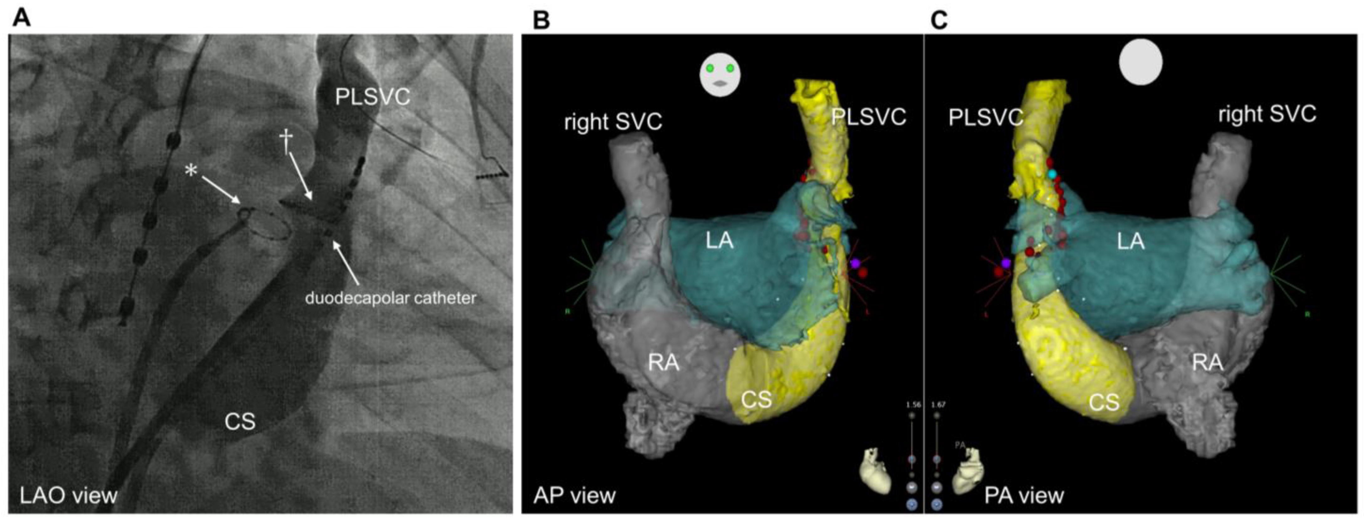 Jcm 12 01783 g003 Jcm 12 01783 g003