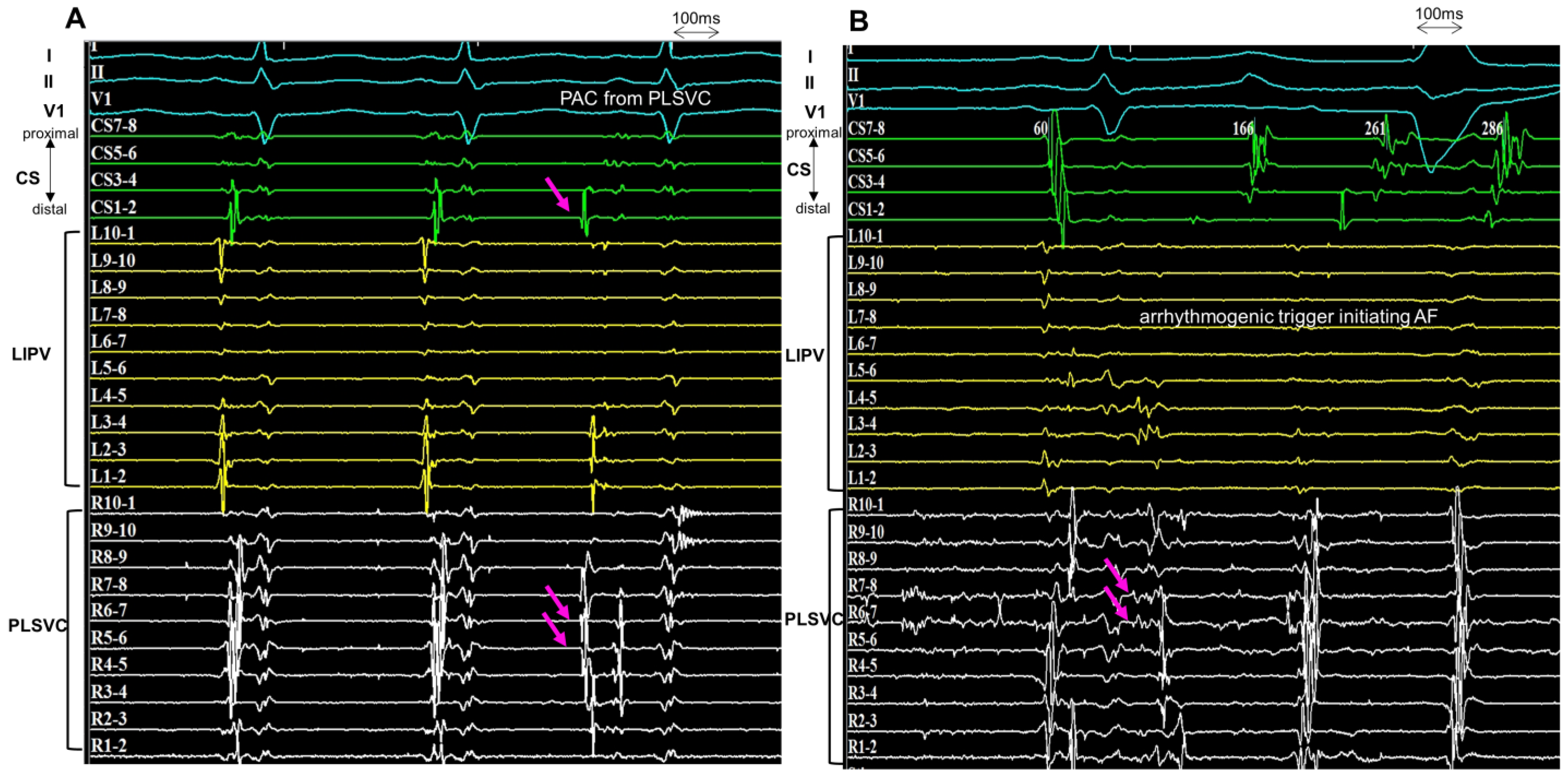 Jcm 12 01783 g004 Jcm 12 01783 g004