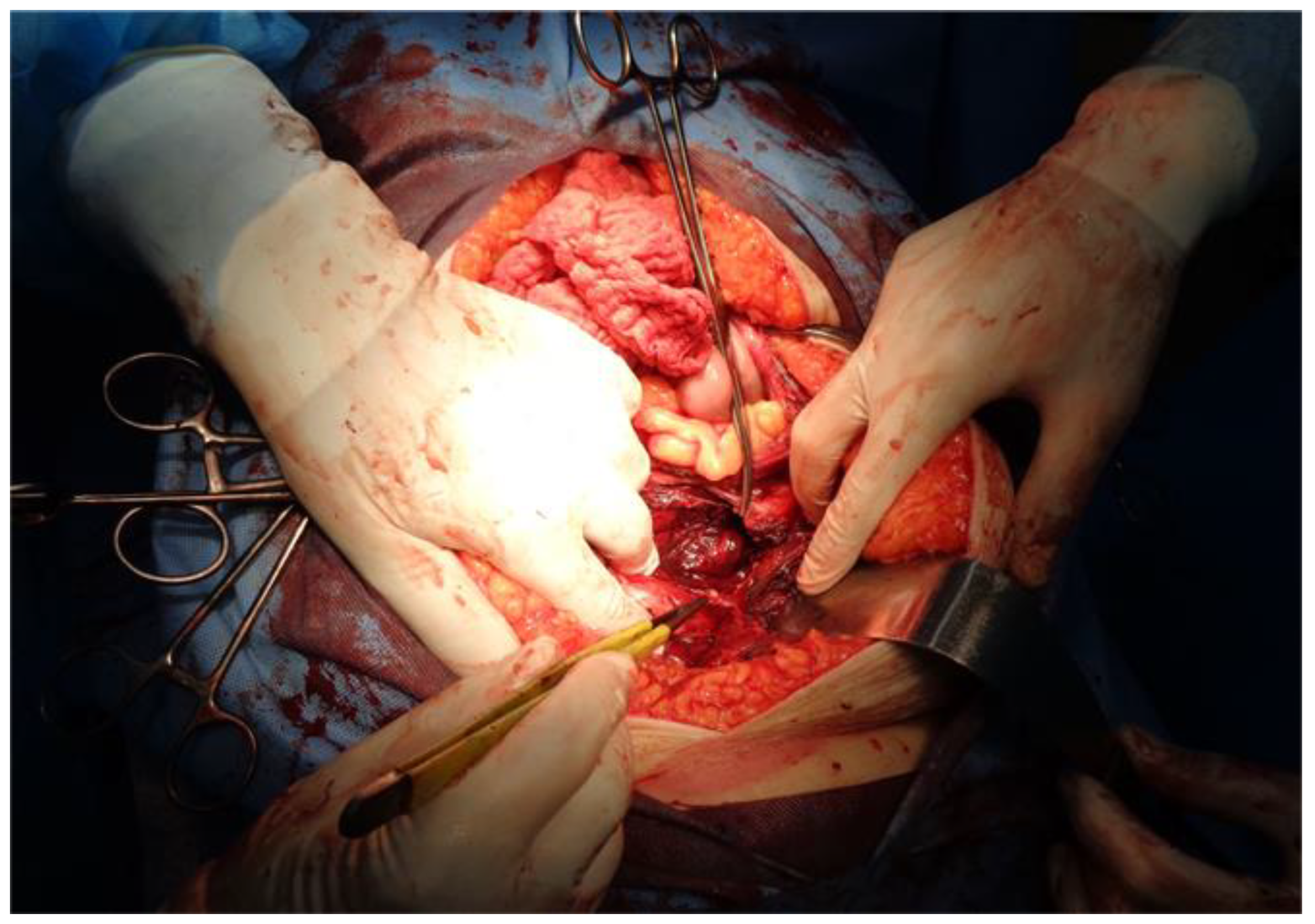 Jcm 12 01842 g004 Jcm 12 01842 g004