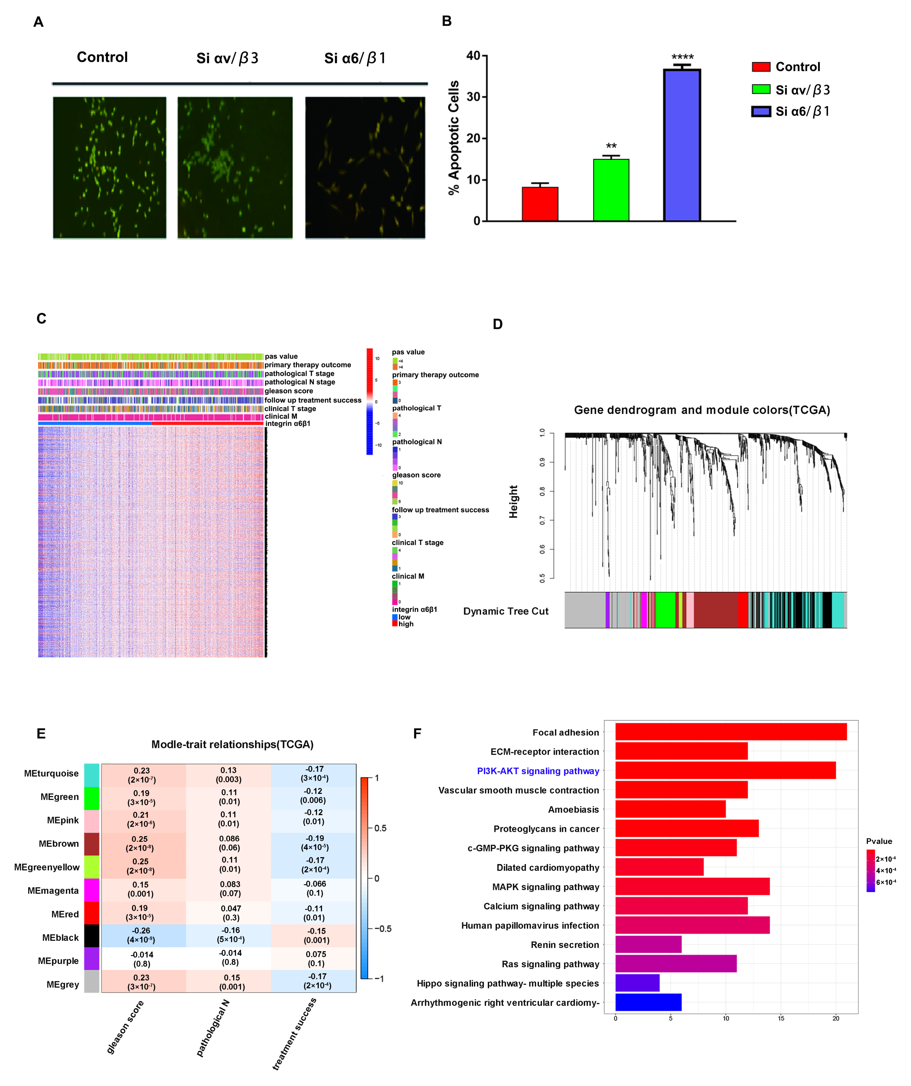 Jcm 12 01861 g004 Jcm 12 01861 g004