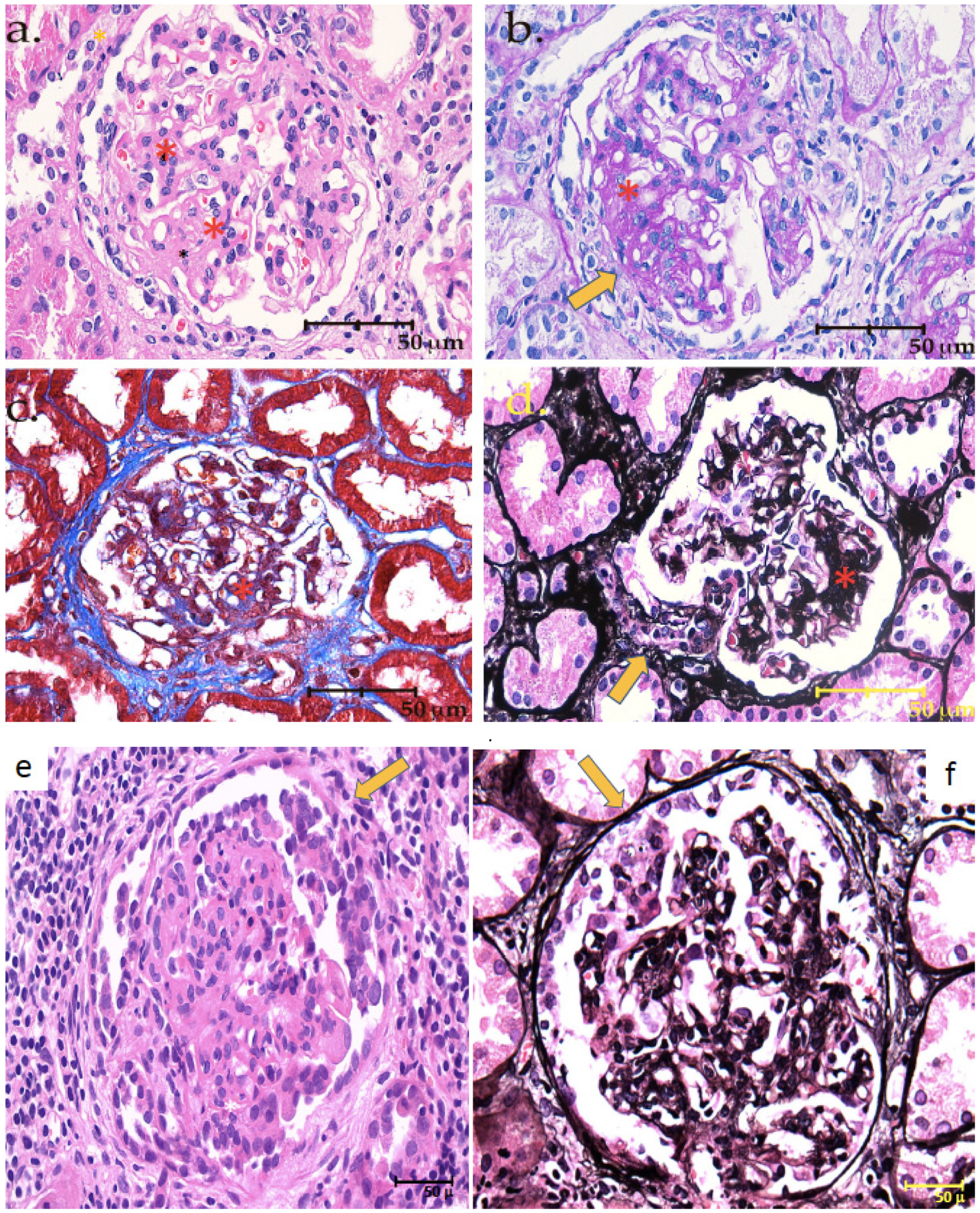 Jcm 12 01888 g002 Jcm 12 01888 g002