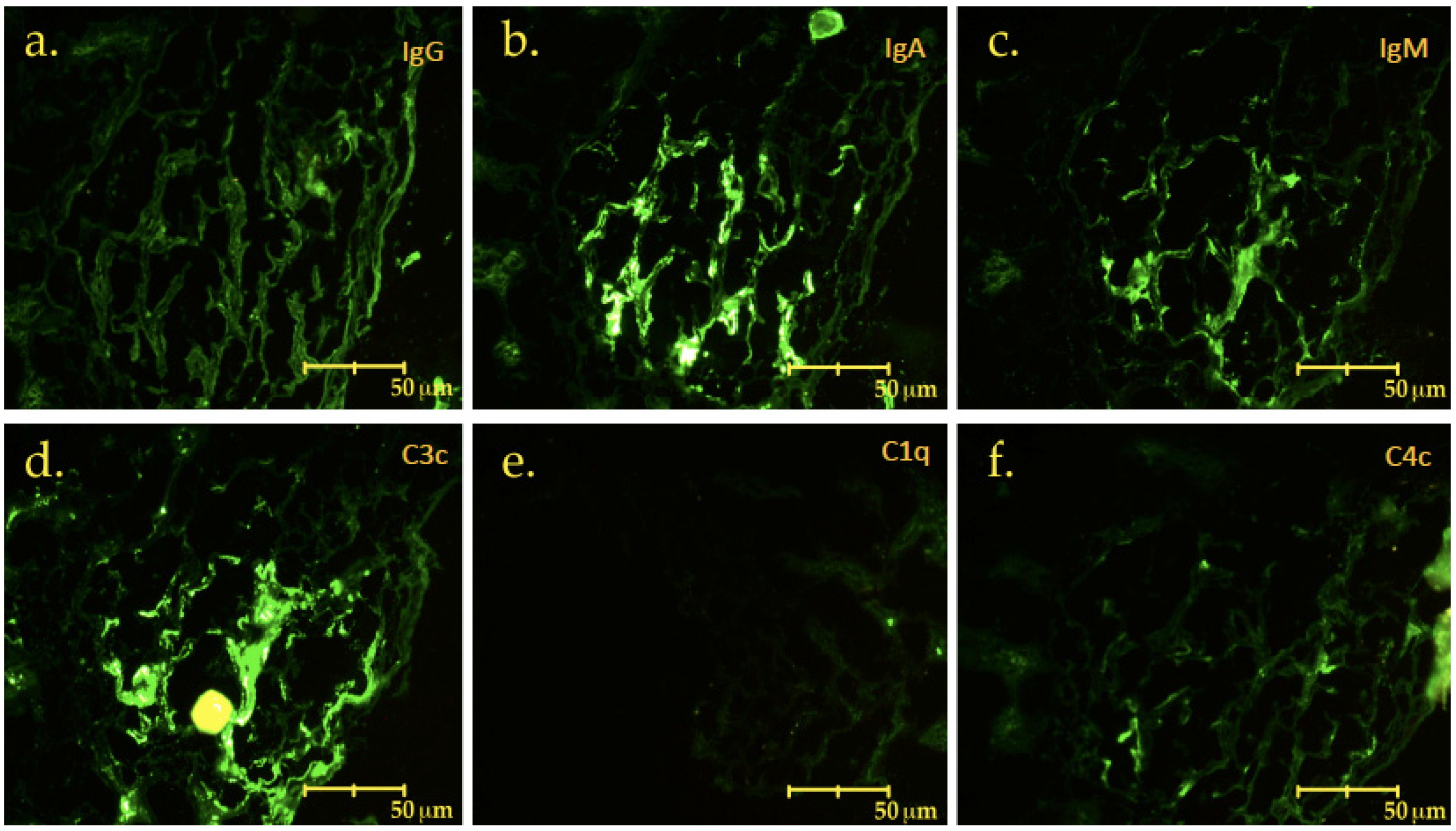 Jcm 12 01888 g004 Jcm 12 01888 g004