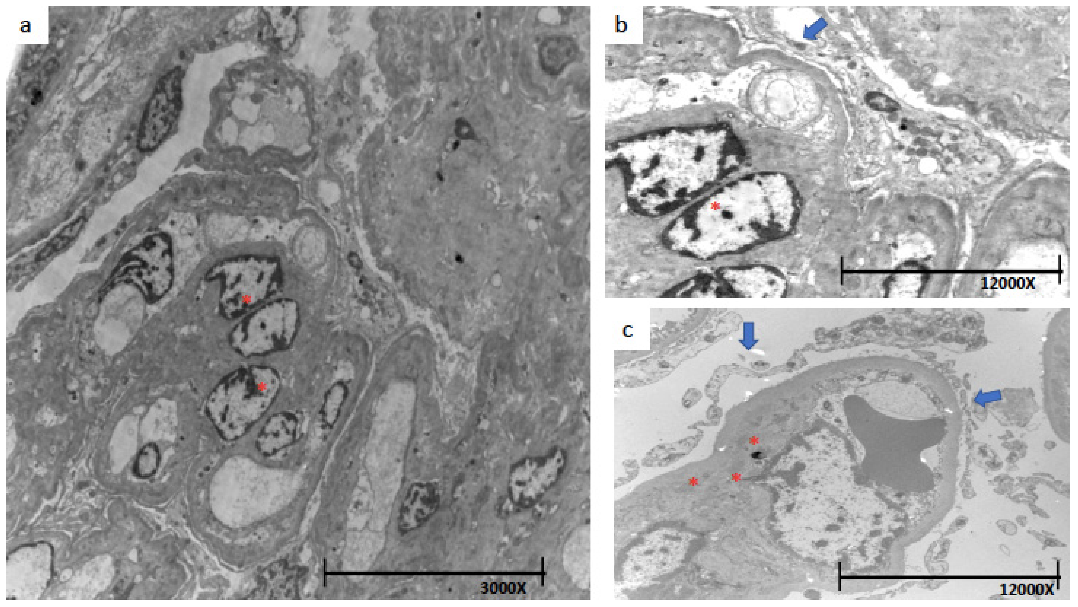 Jcm 12 01888 g005 Jcm 12 01888 g005
