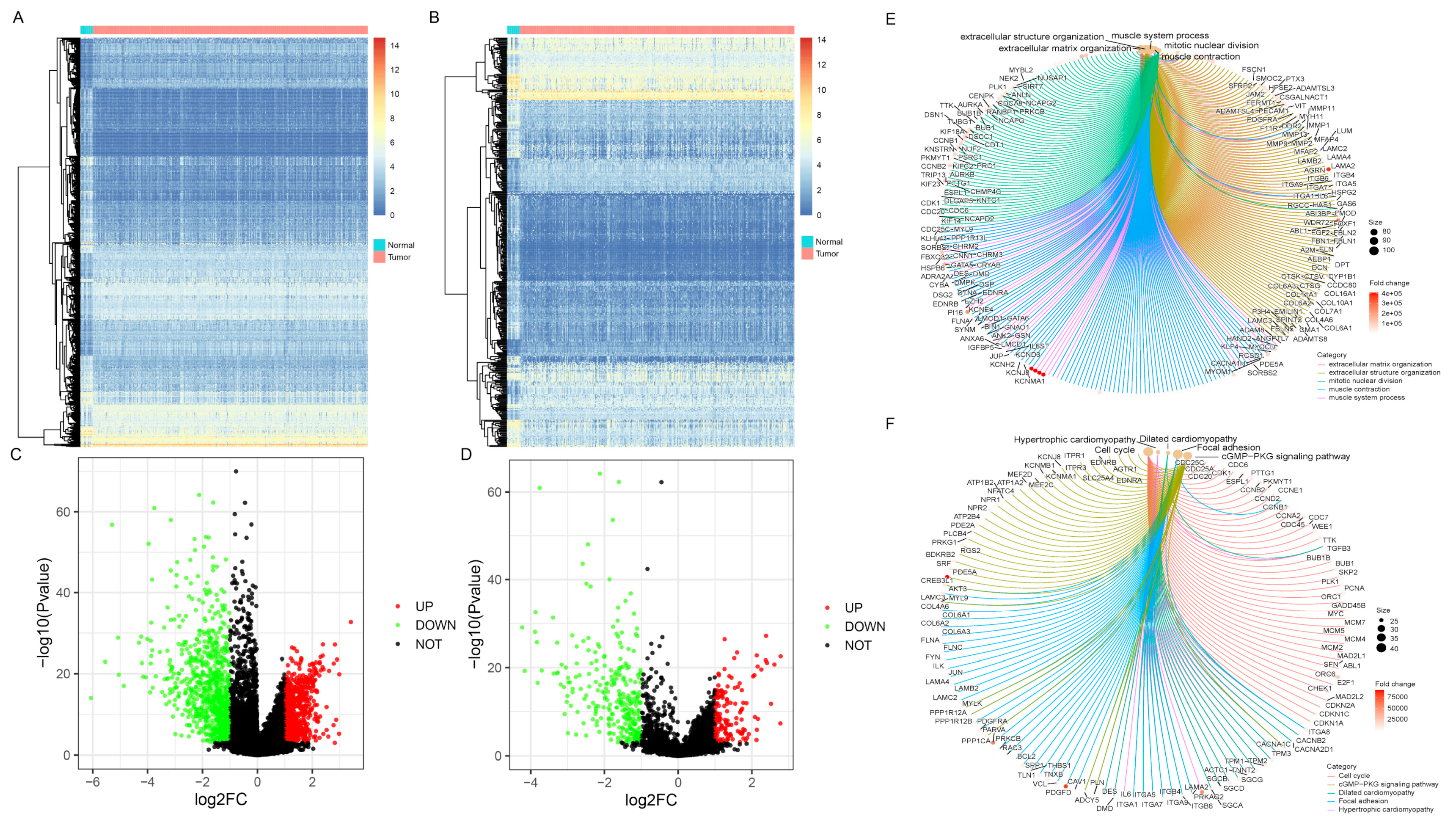 Jcm 12 01892 g001 Jcm 12 01892 g001