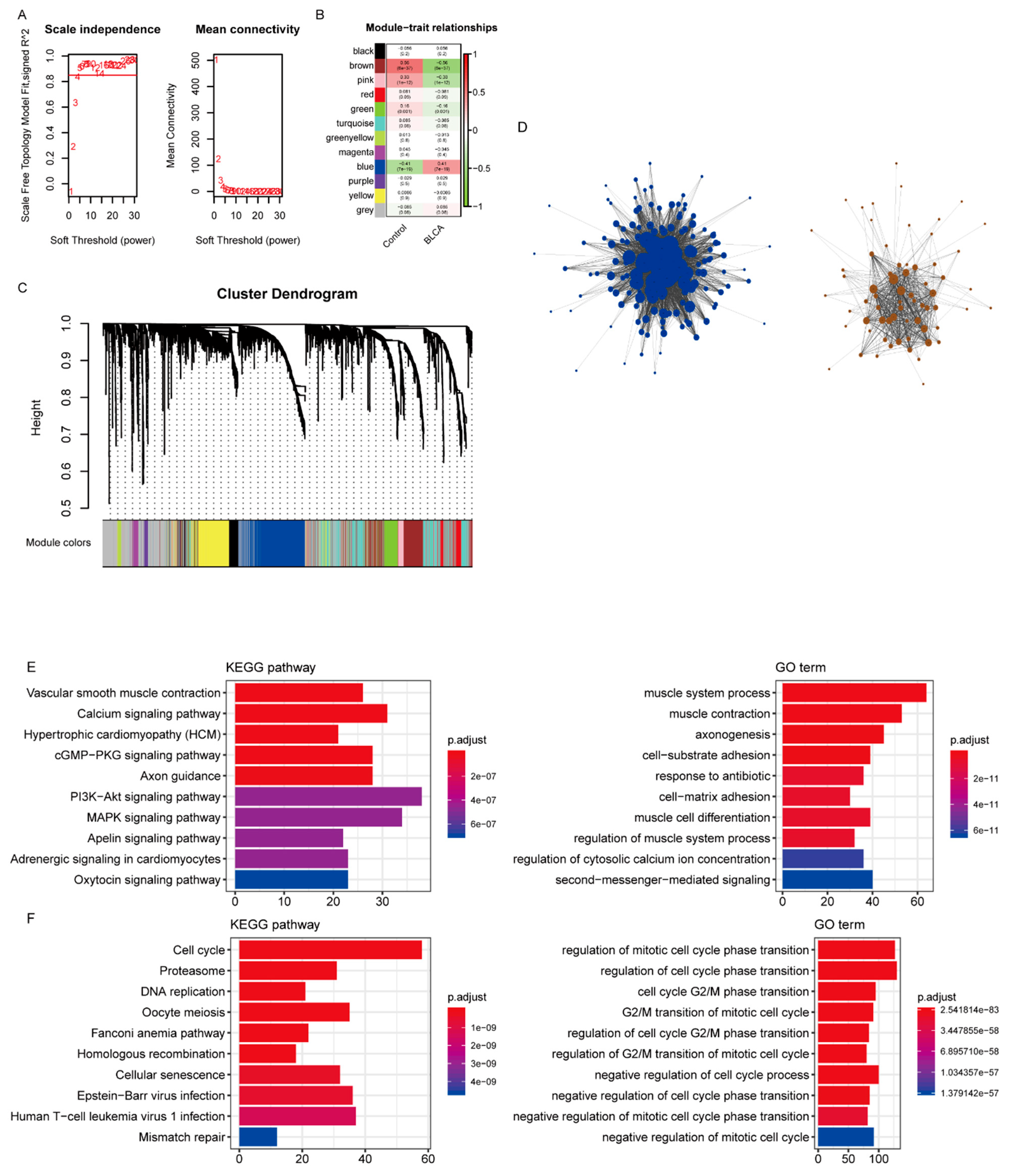Jcm 12 01892 g002 Jcm 12 01892 g002