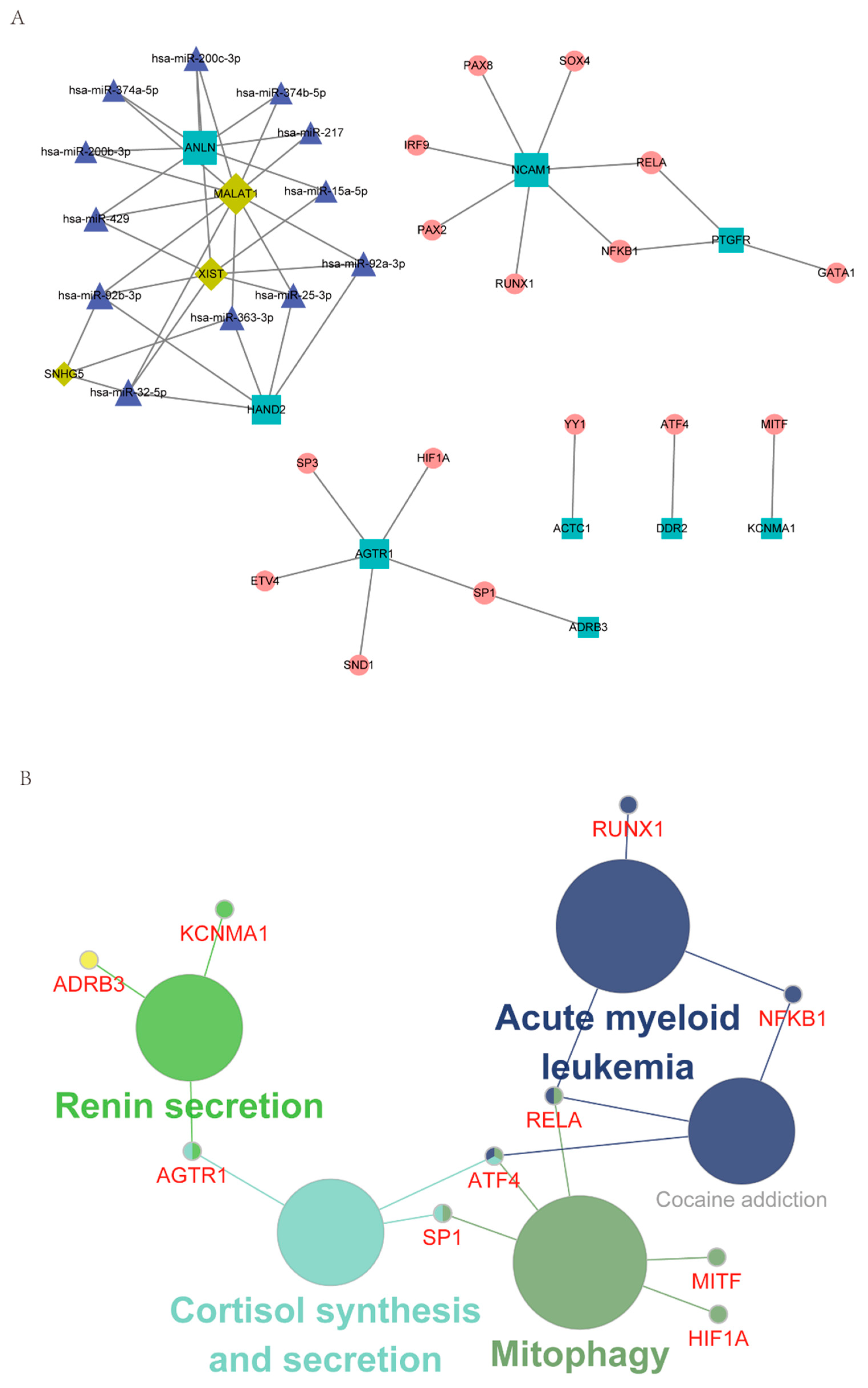 Jcm 12 01892 g004 Jcm 12 01892 g004