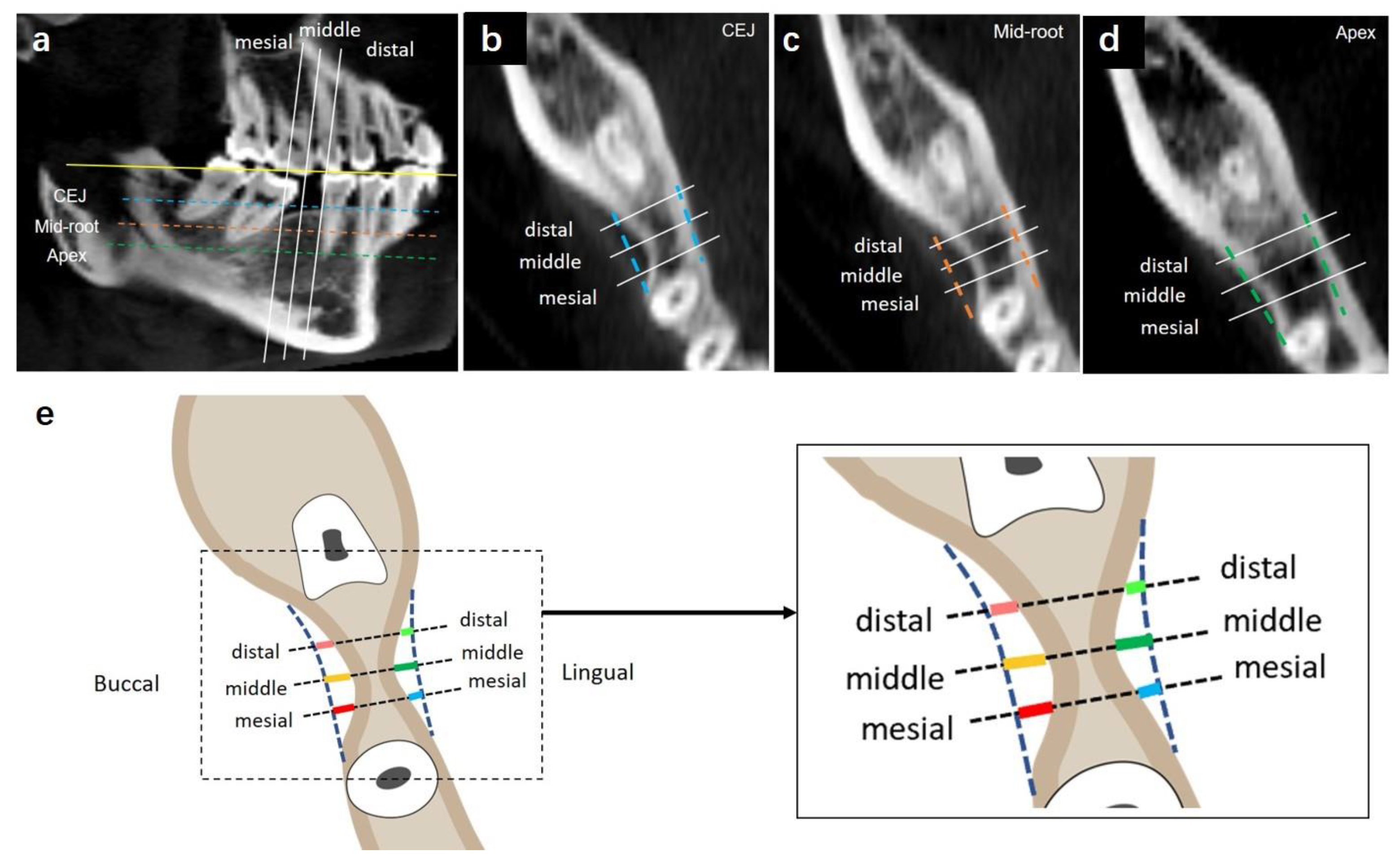 Jcm 12 01932 g003 Jcm 12 01932 g003