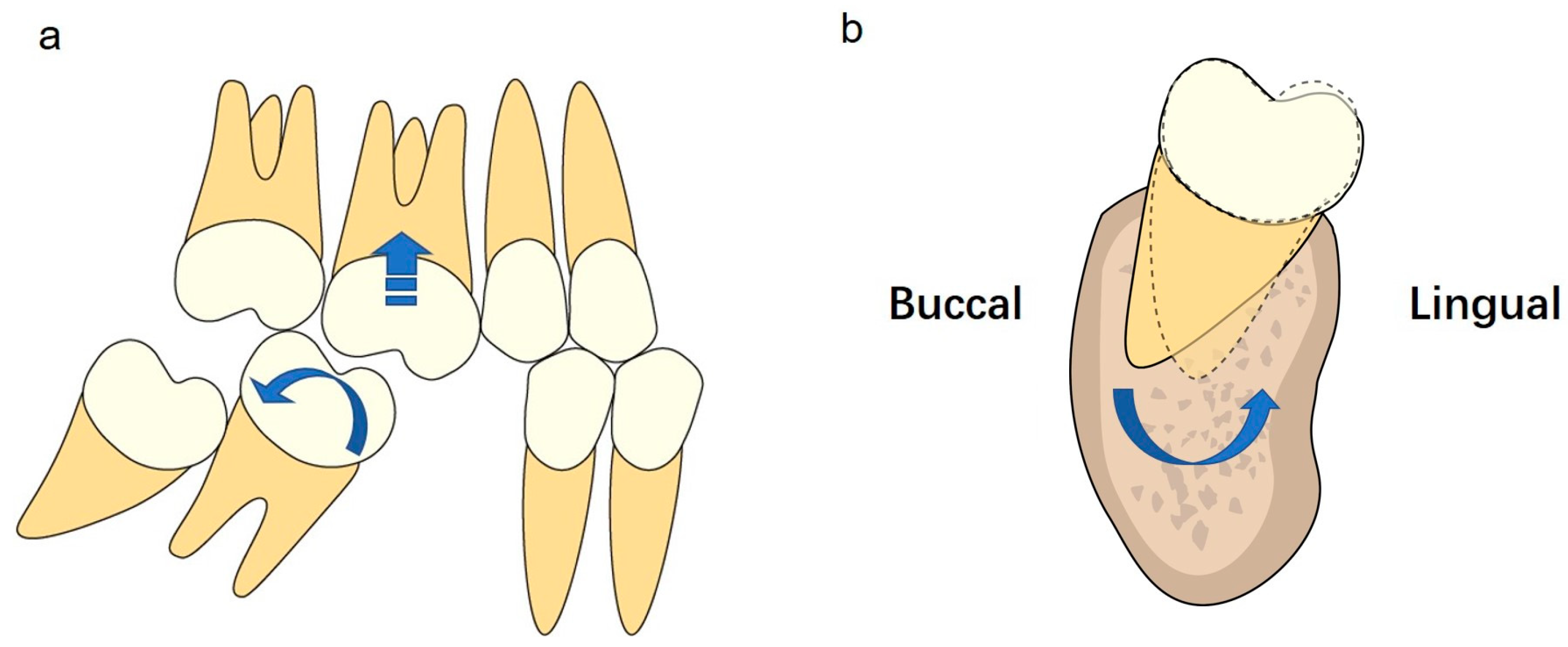 Jcm 12 01932 g010 Jcm 12 01932 g010