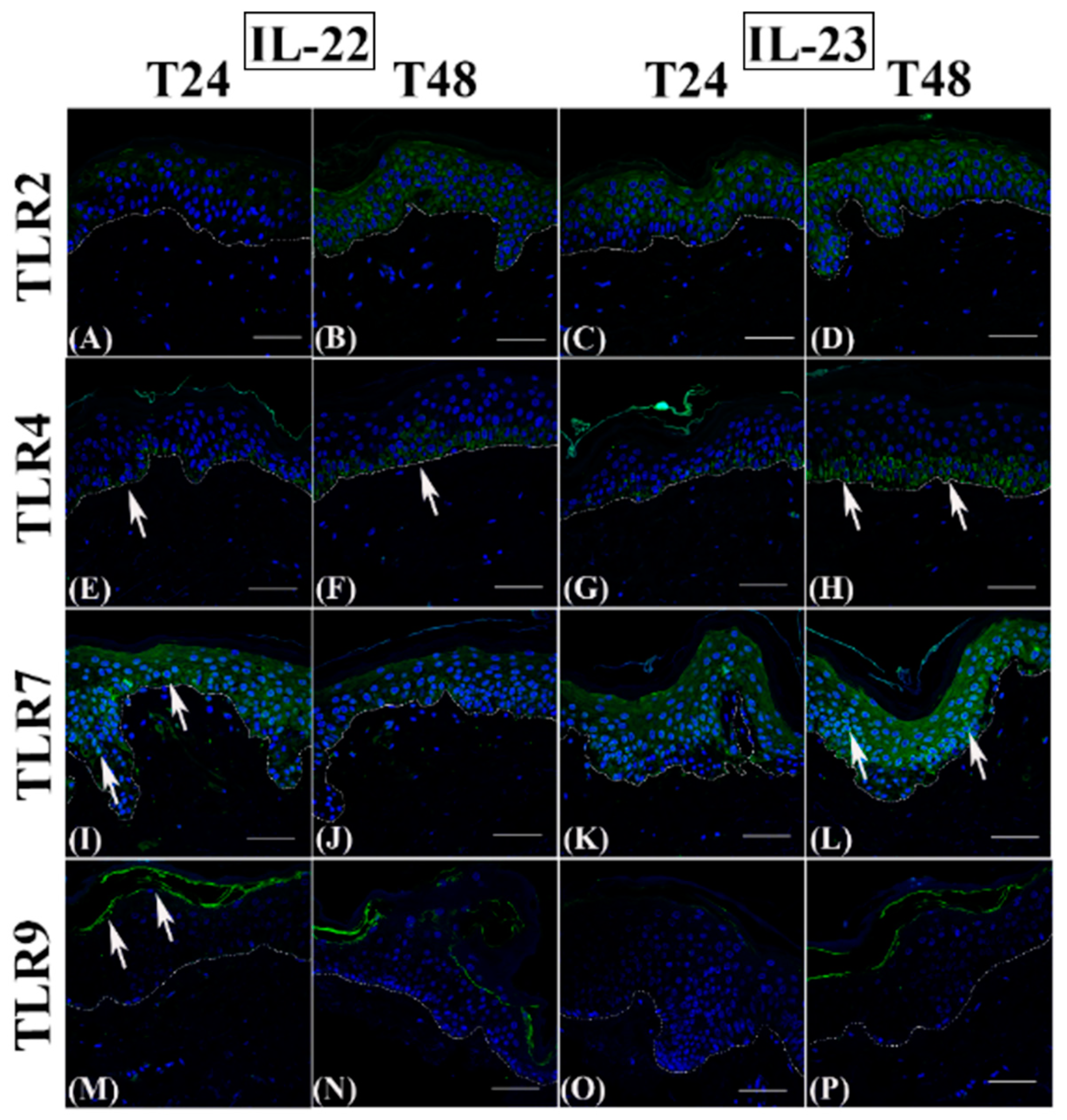 Jcm 12 01941 g005 Jcm 12 01941 g005