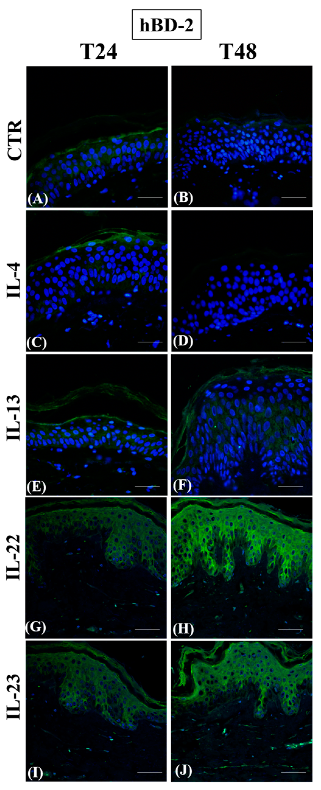 Jcm 12 01941 g007 Jcm 12 01941 g007