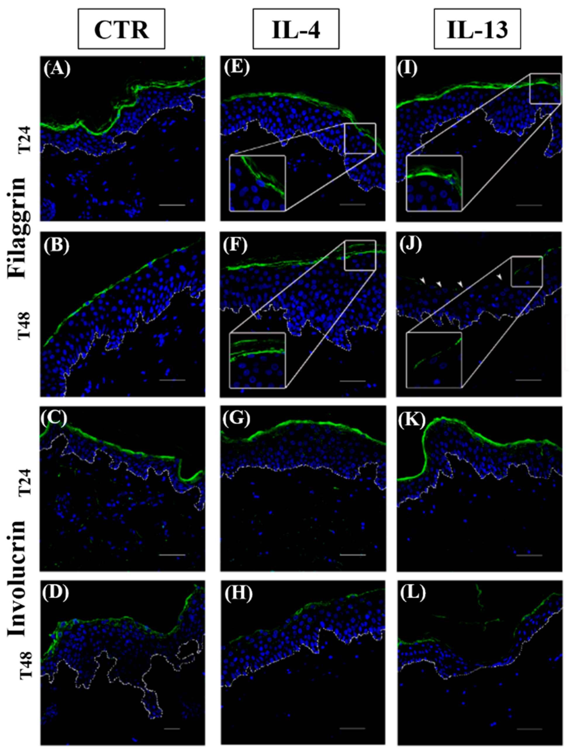Jcm 12 01941 g008 Jcm 12 01941 g008