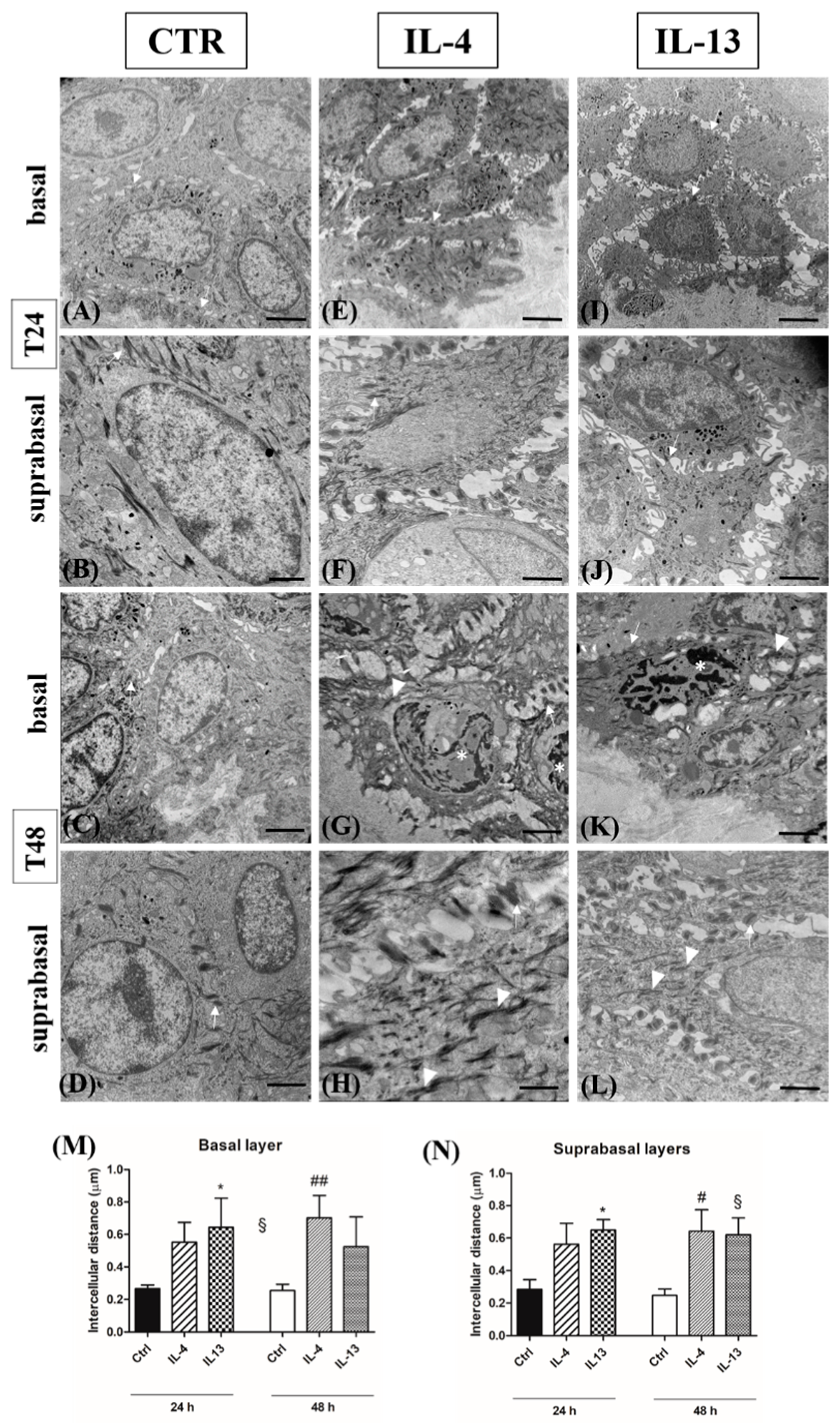 Jcm 12 01941 g010 Jcm 12 01941 g010