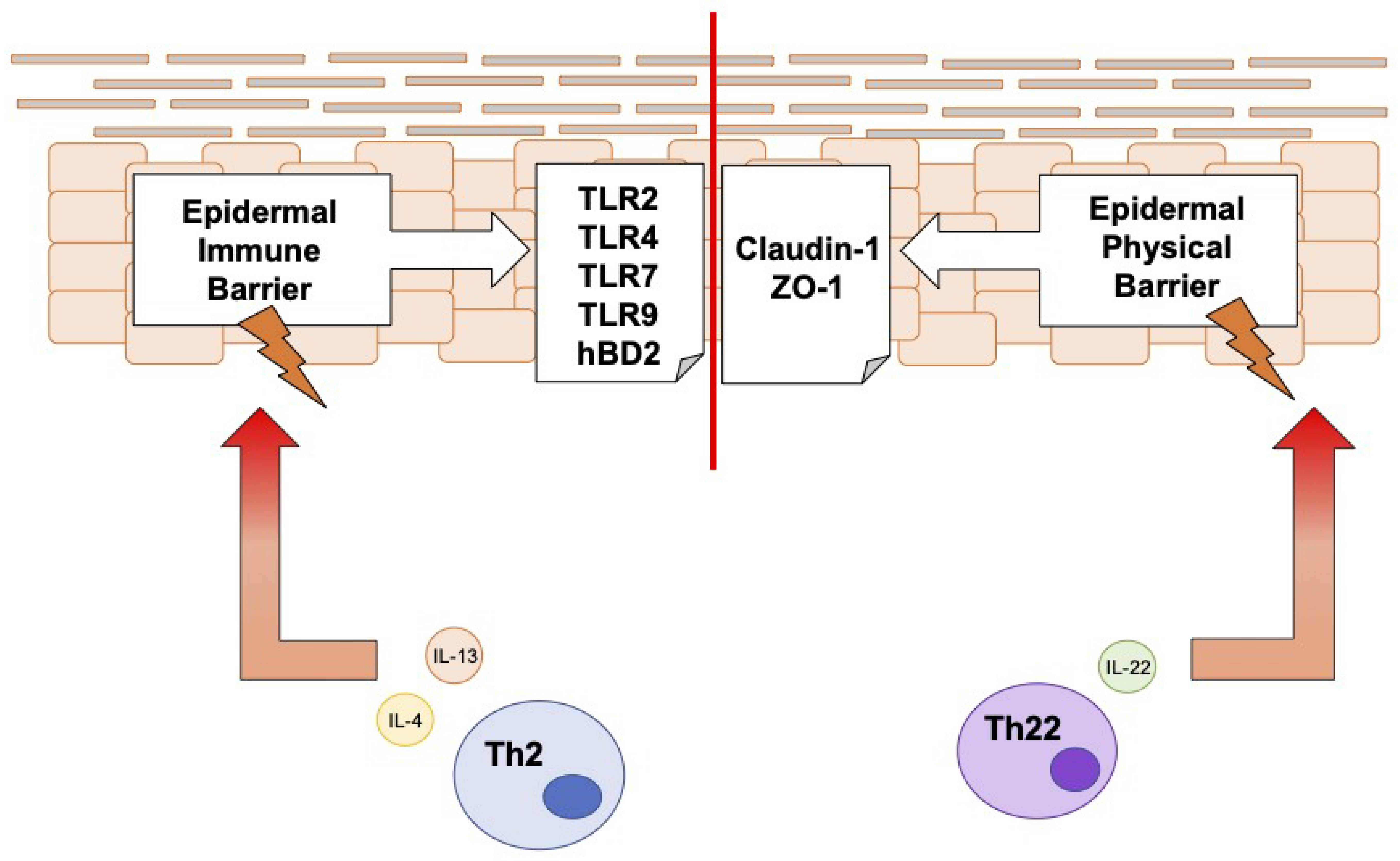 Jcm 12 01941 g011 Jcm 12 01941 g011