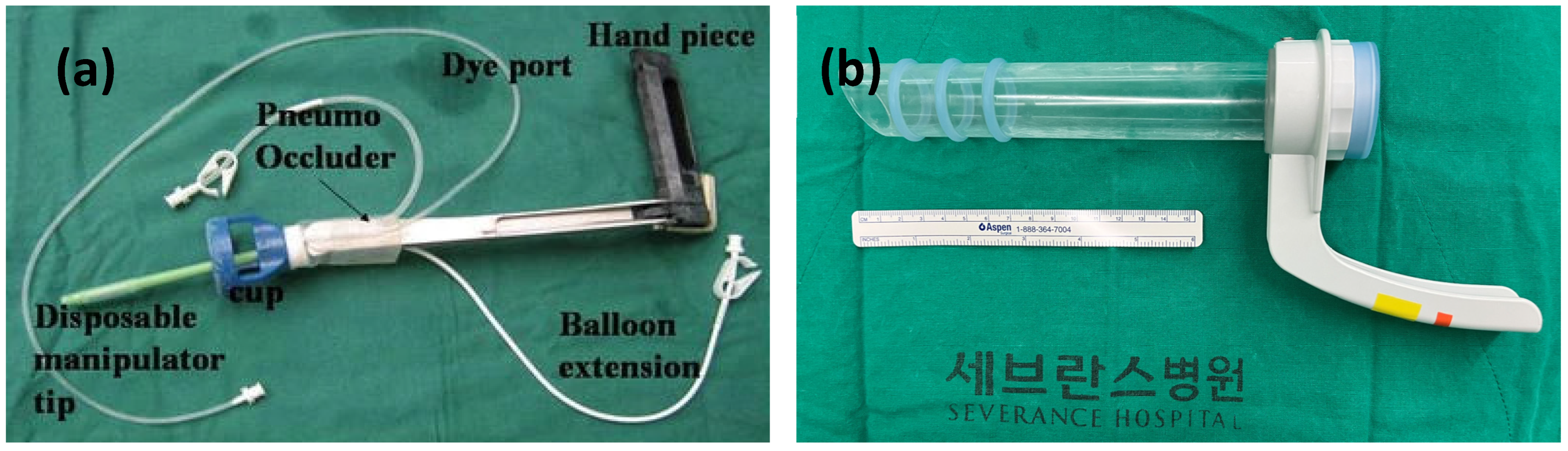 Jcm 12 01950 g001 Jcm 12 01950 g001
