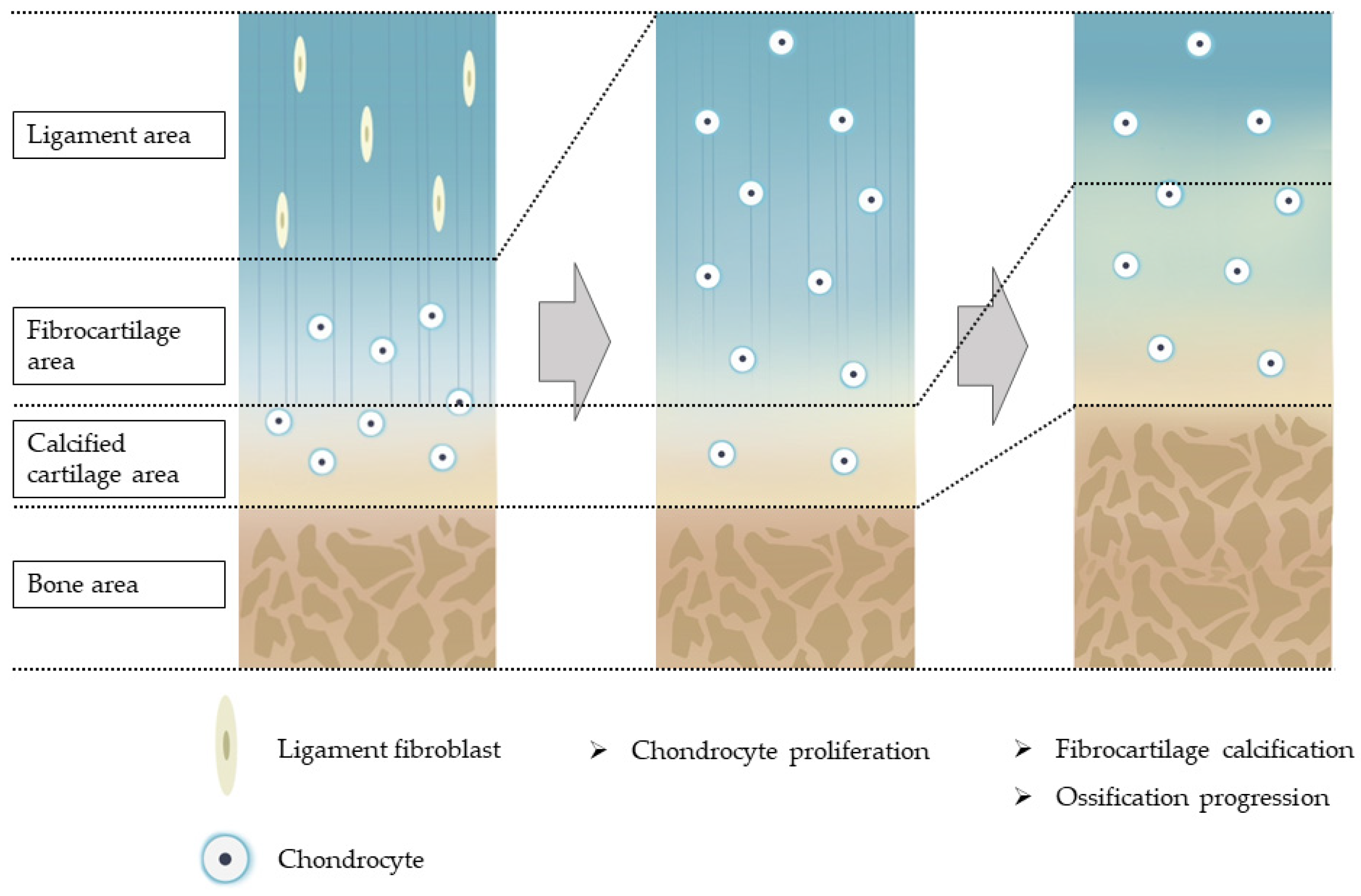 Jcm 12 01958 g001 Jcm 12 01958 g001