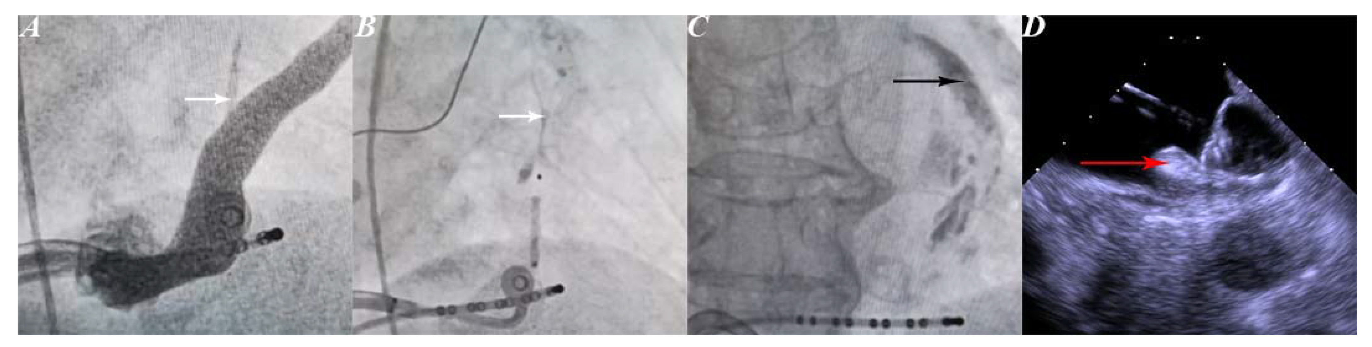 Jcm 12 01960 g001 Jcm 12 01960 g001
