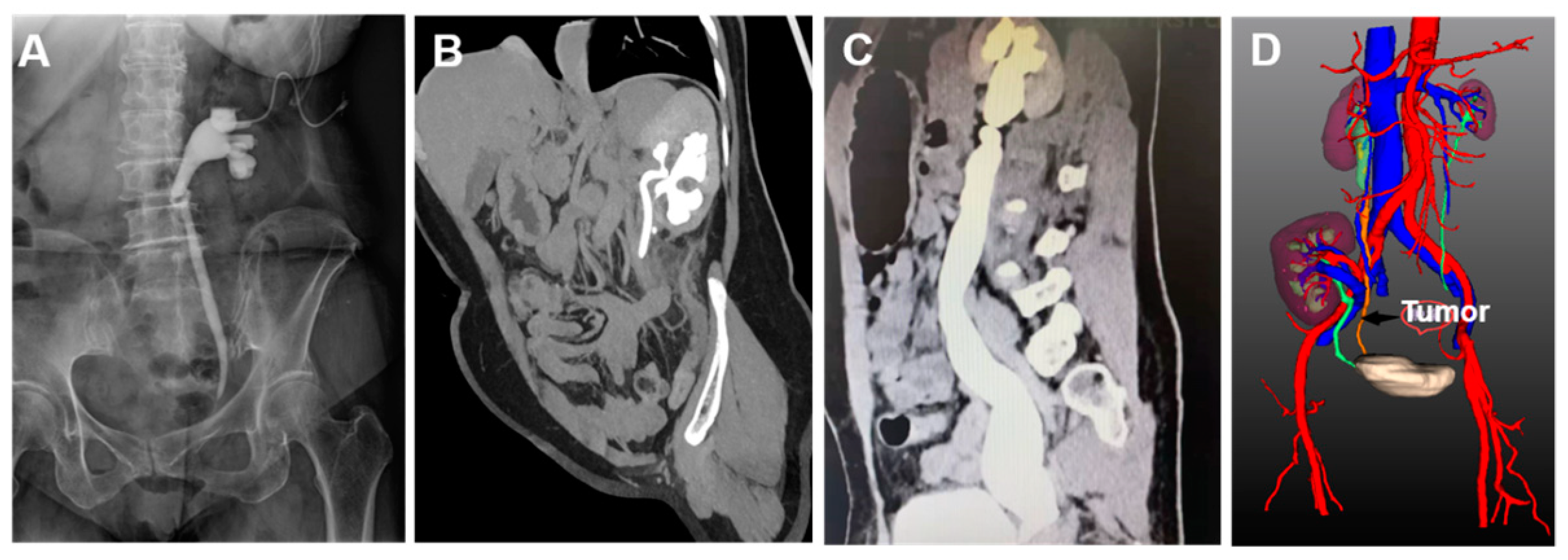 Jcm 12 01980 g001 Jcm 12 01980 g001