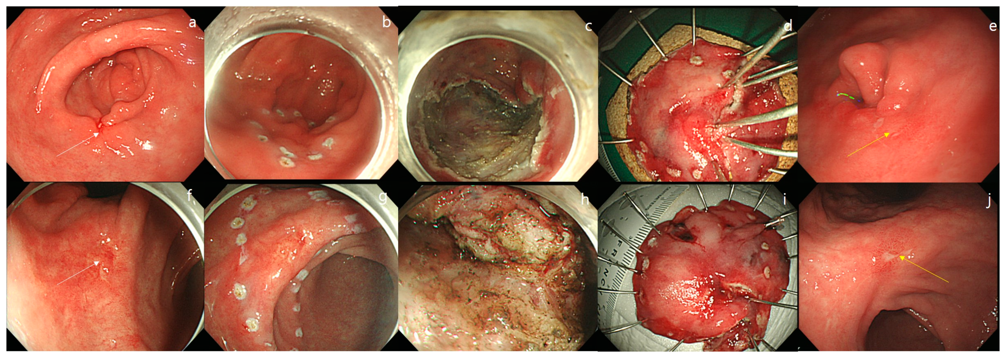Jcm 12 02018 g003 Jcm 12 02018 g003