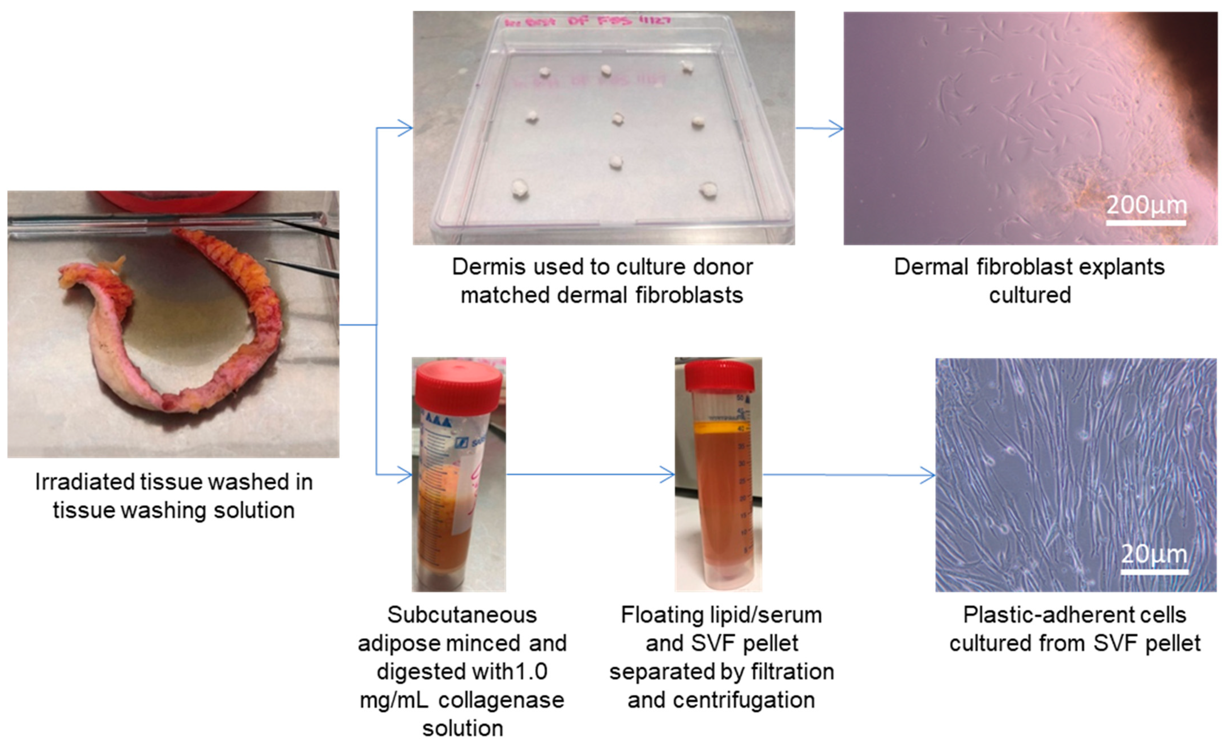 Jcm 12 02052 g001 Jcm 12 02052 g001