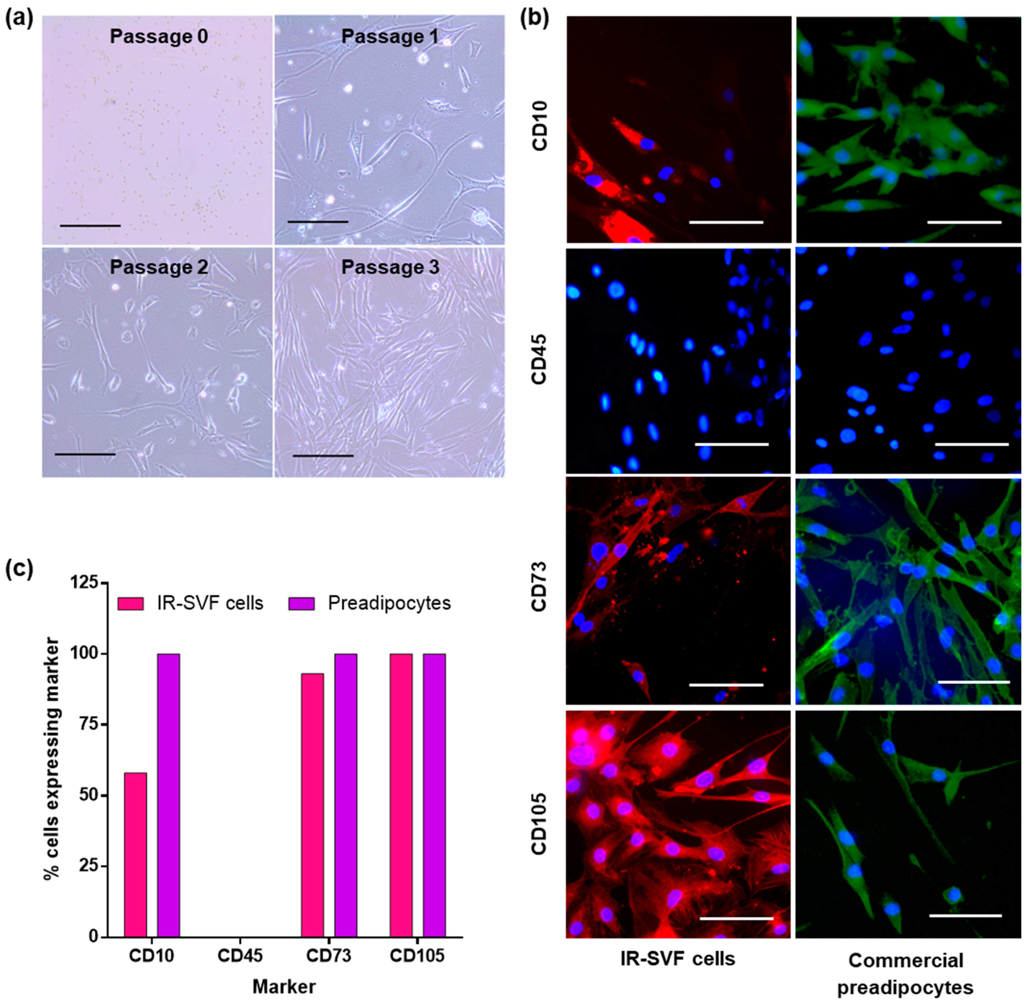 Jcm 12 02052 g002 Jcm 12 02052 g002