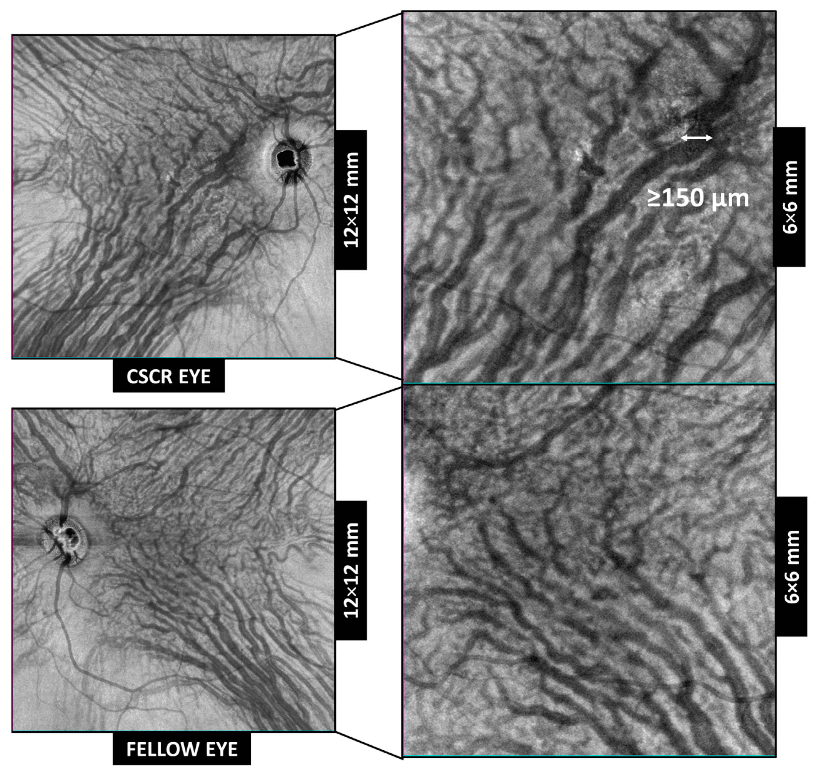 Jcm 12 02088 g001 Jcm 12 02088 g001