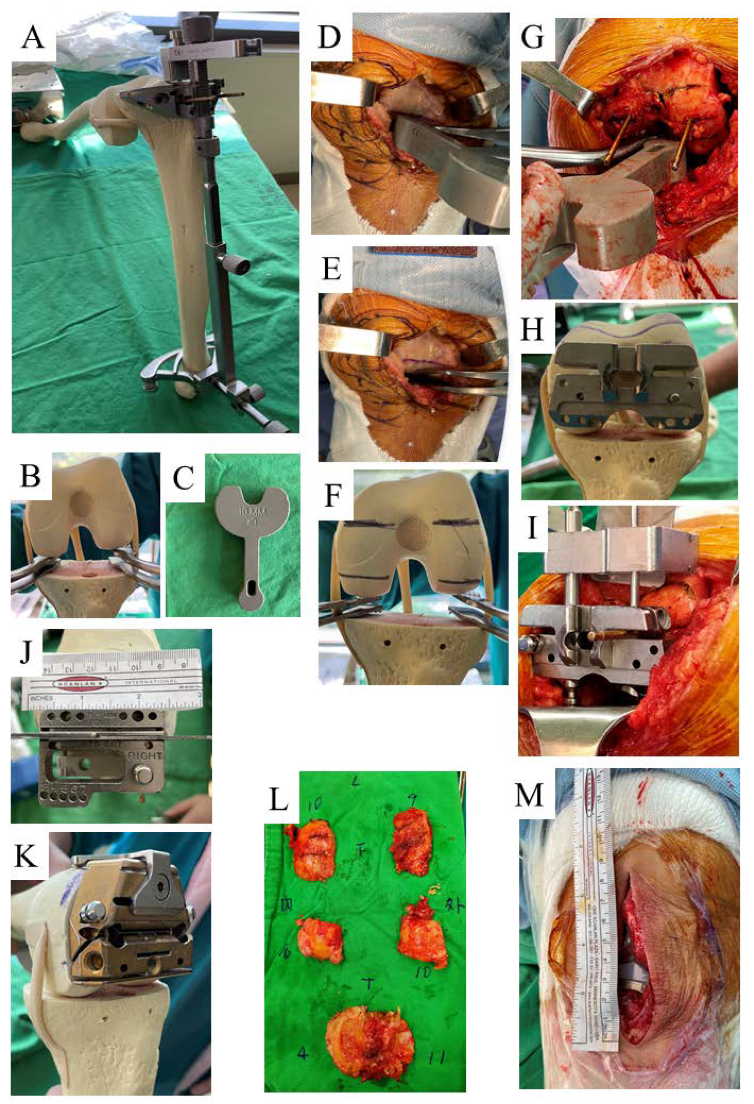 Jcm 12 02110 g001 Jcm 12 02110 g001