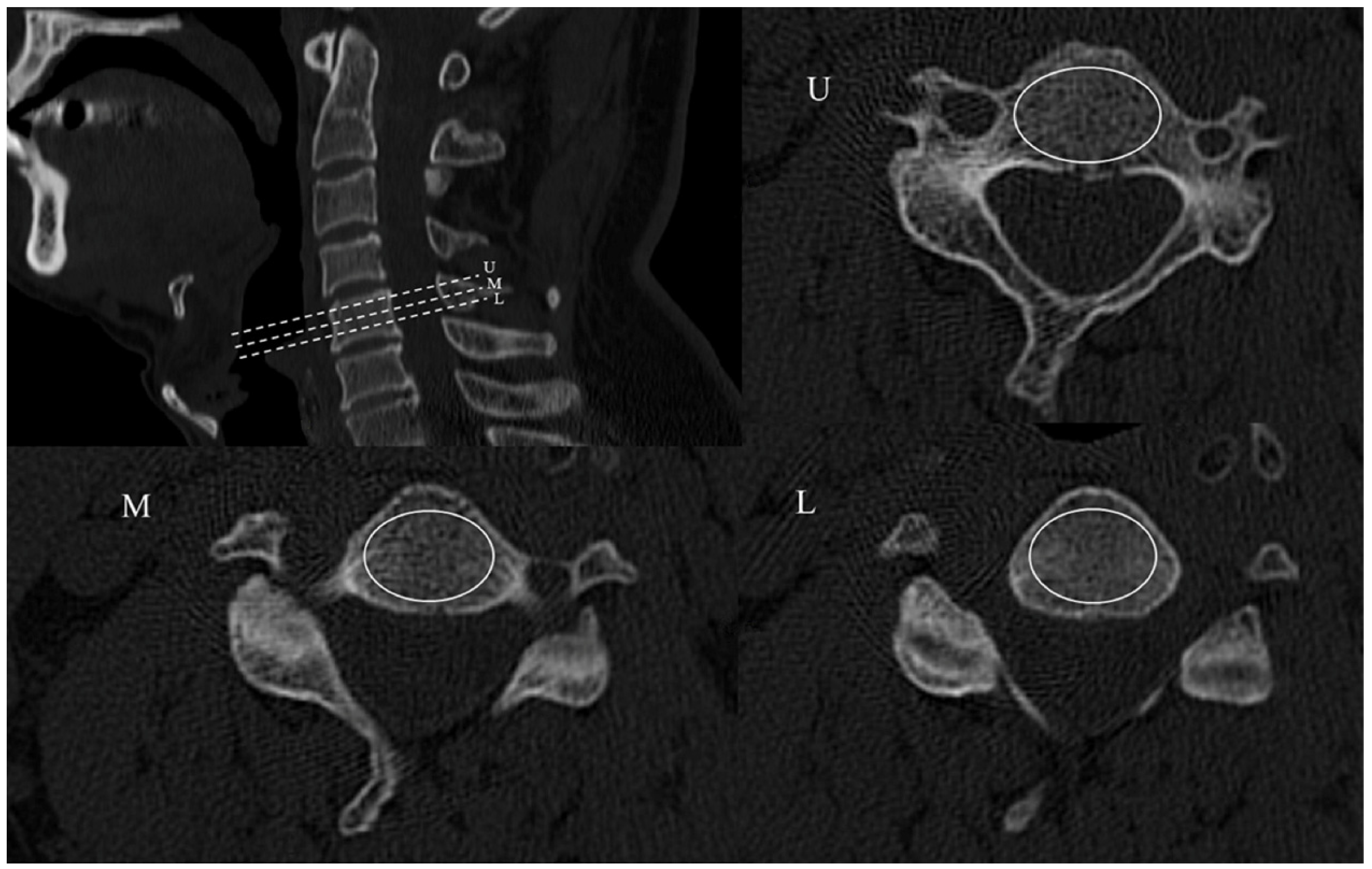 Jcm 12 02119 g002 Jcm 12 02119 g002
