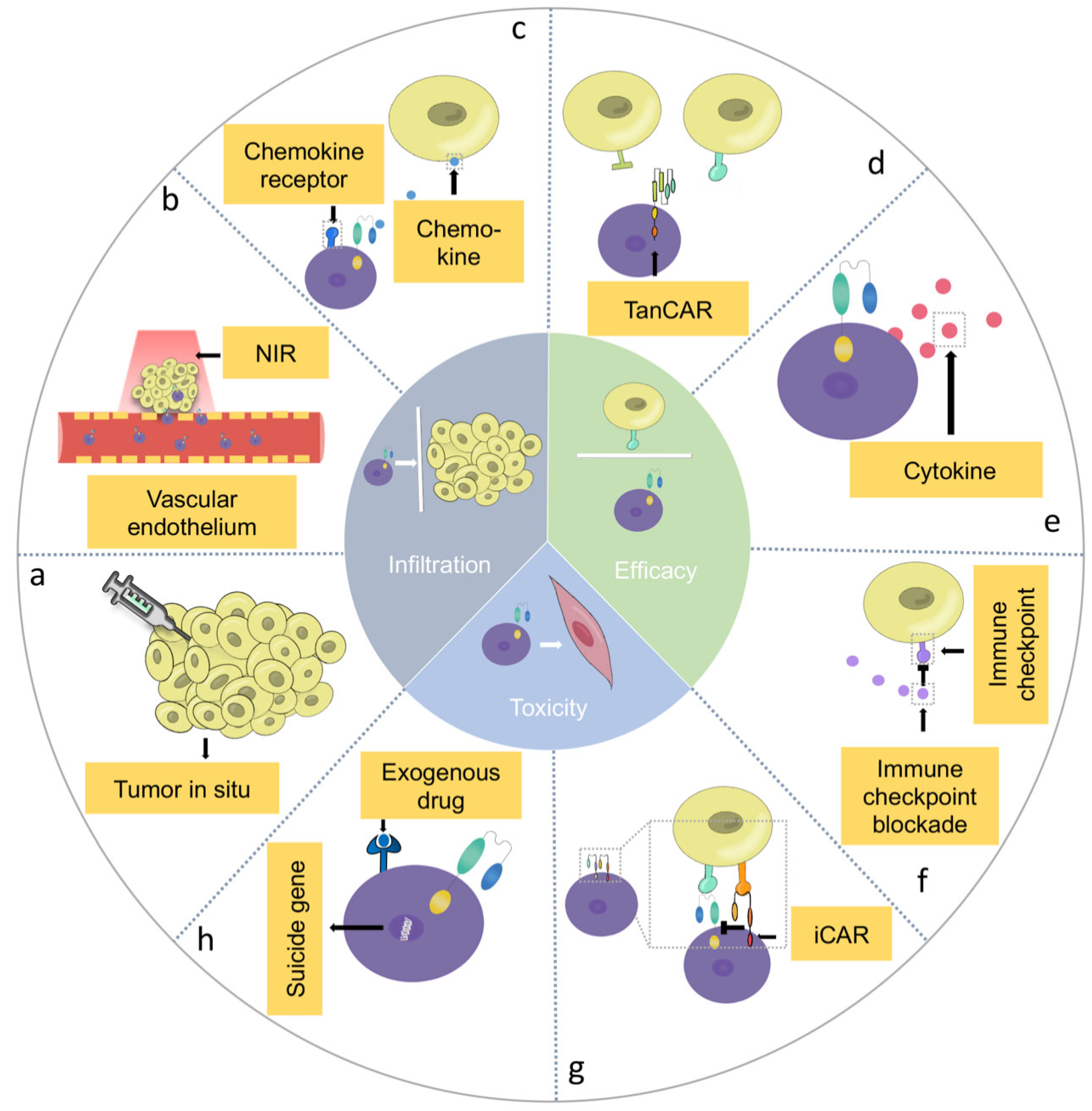 Jcm 12 02173 g003 Jcm 12 02173 g003