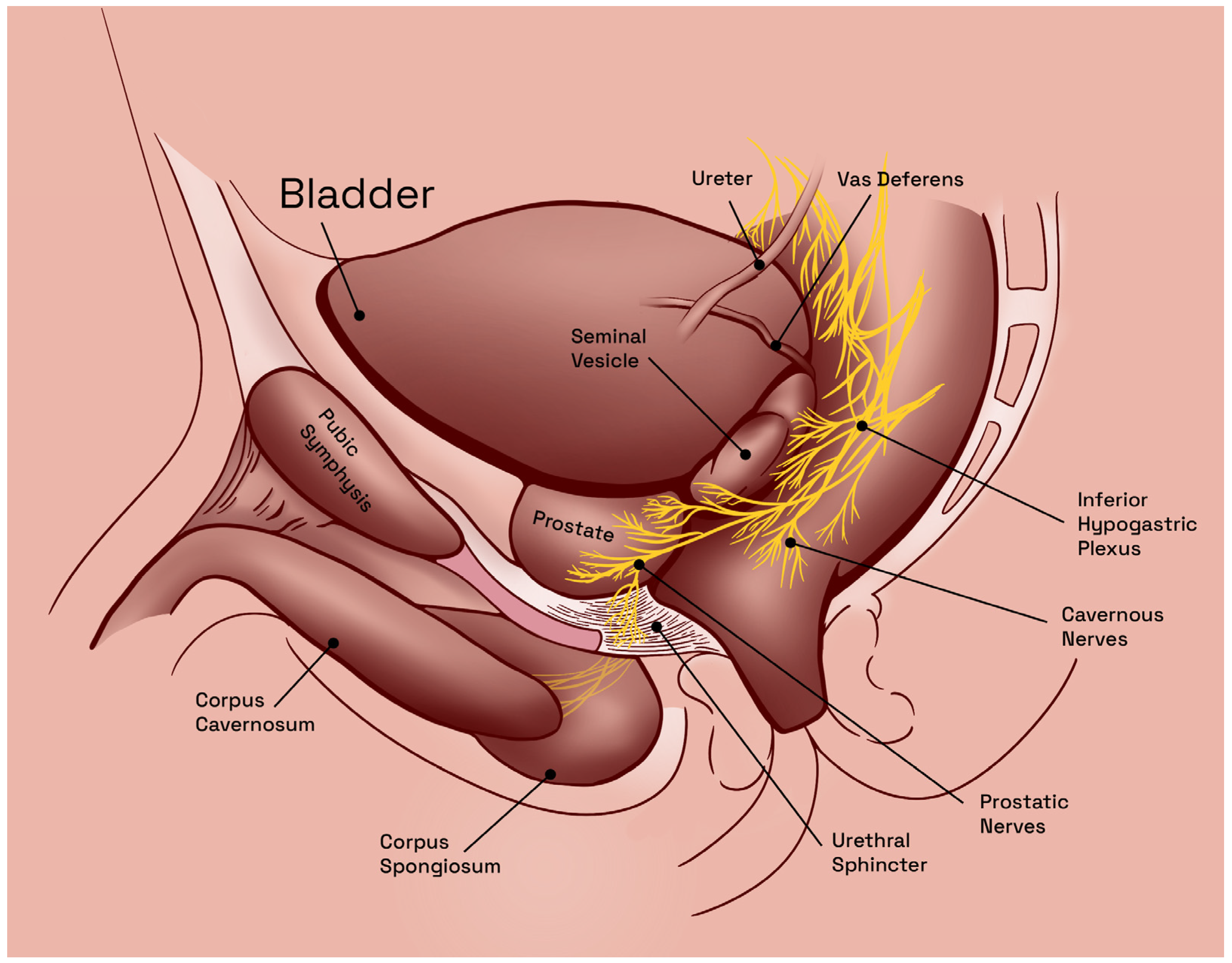 Jcm 12 02208 g001 Jcm 12 02208 g001