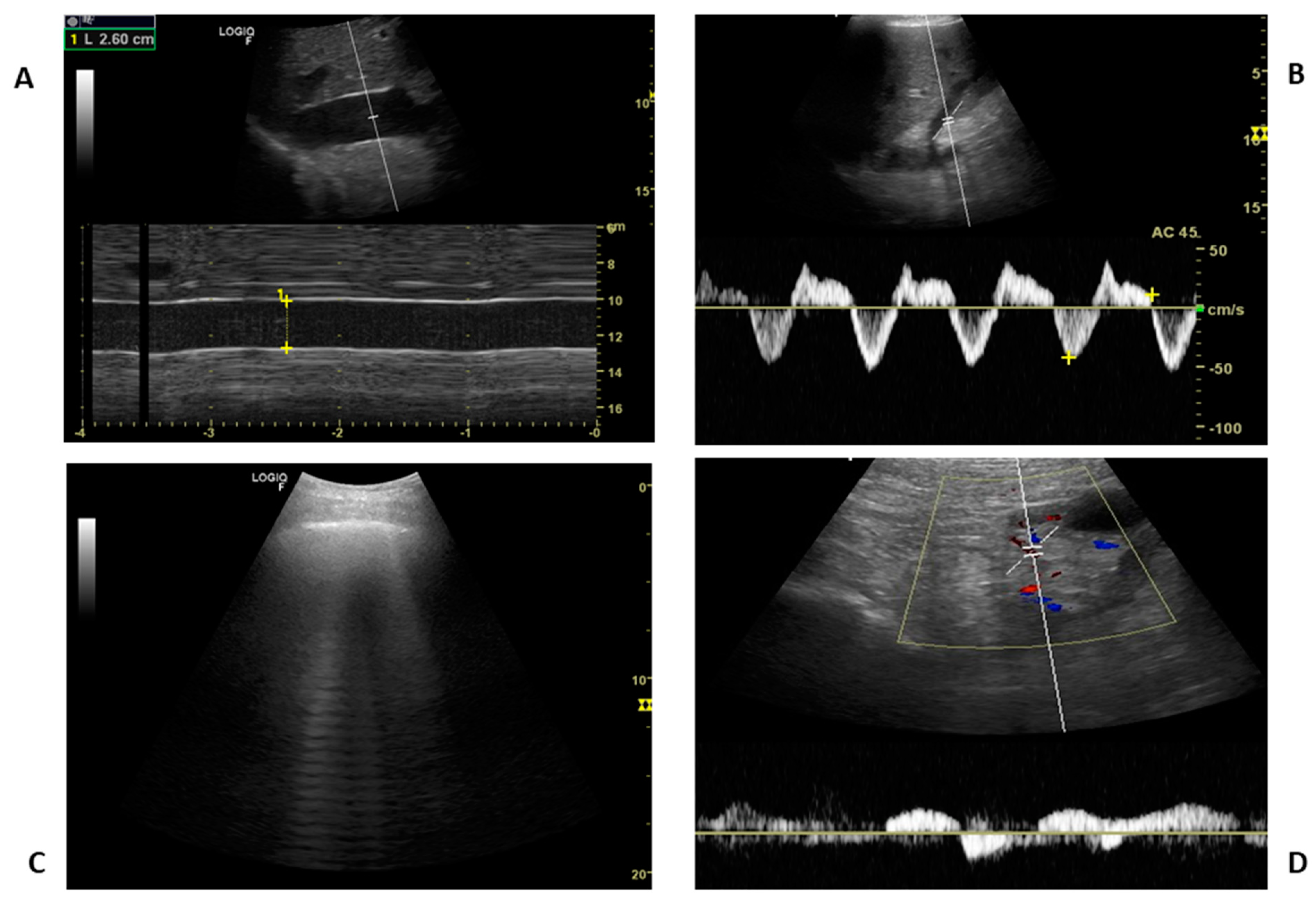 Jcm 12 02217 g004 Jcm 12 02217 g004