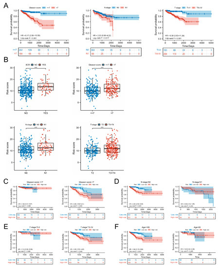 The Role of Macrophages in Cancer Development and Therapy