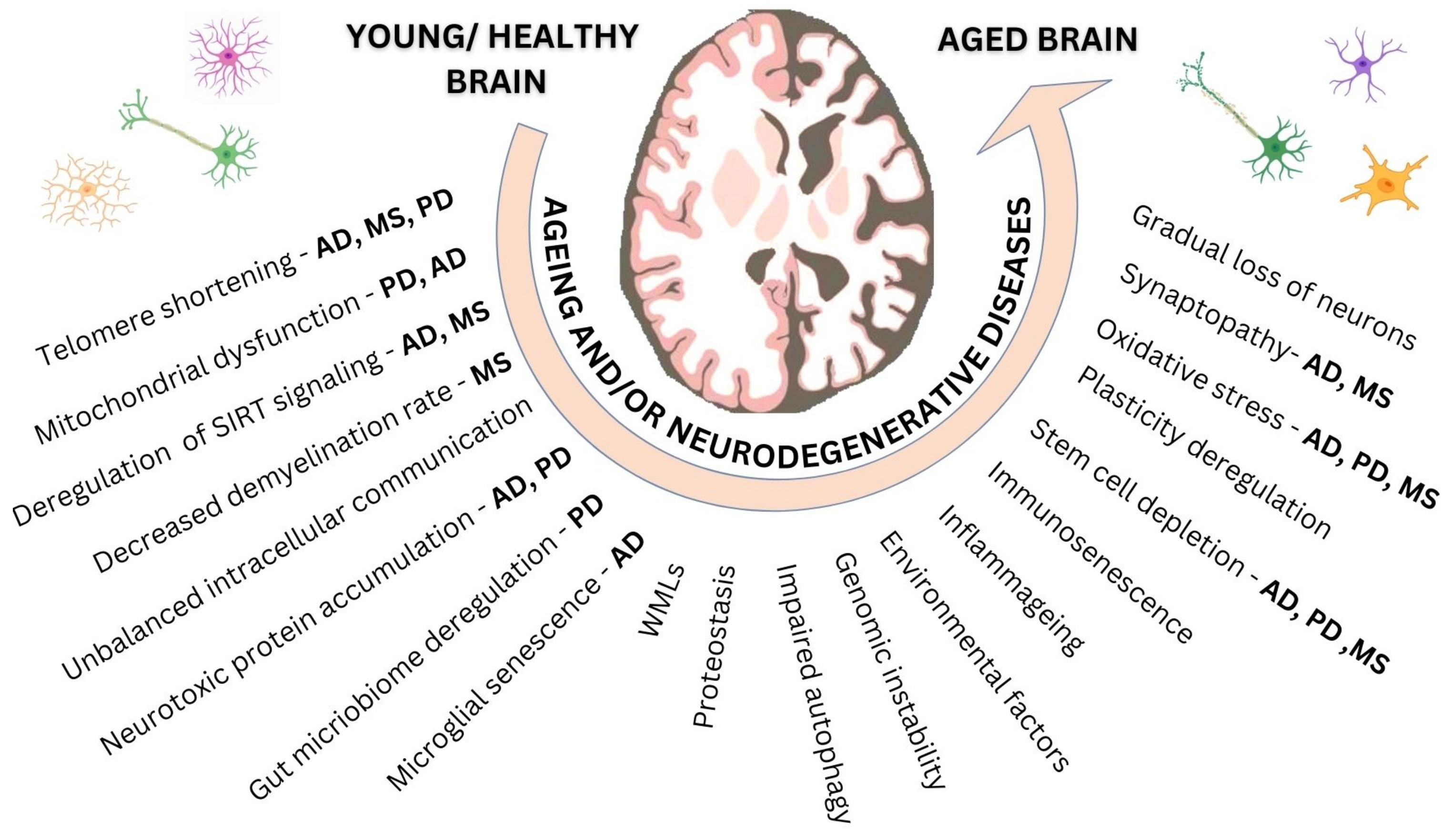 Jcm 12 02255 g001 Jcm 12 02255 g001