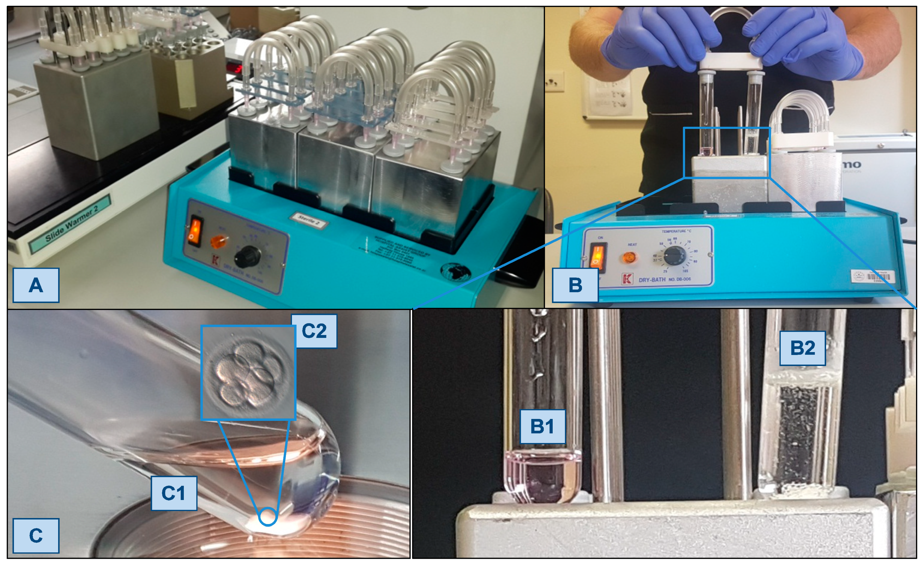 Jcm 12 02264 g001 Jcm 12 02264 g001