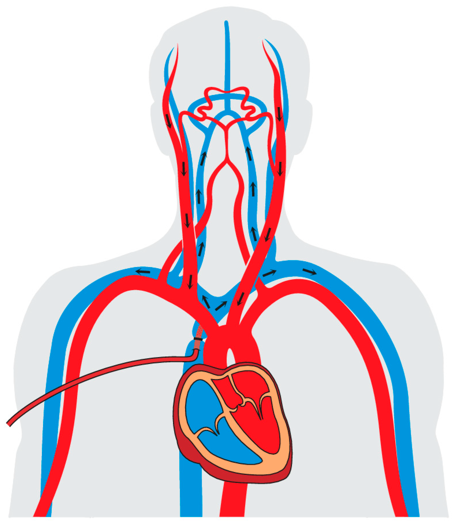 Jcm 12 02271 g002 Jcm 12 02271 g002