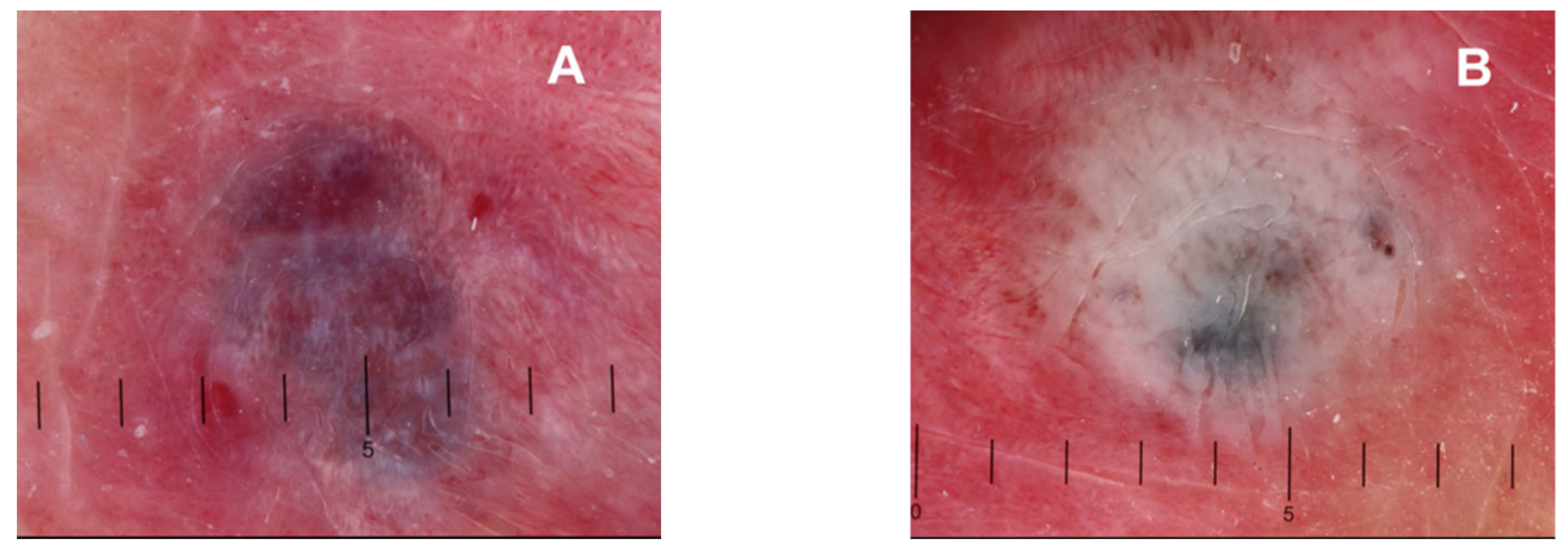Jcm 12 02292 g001 Jcm 12 02292 g001